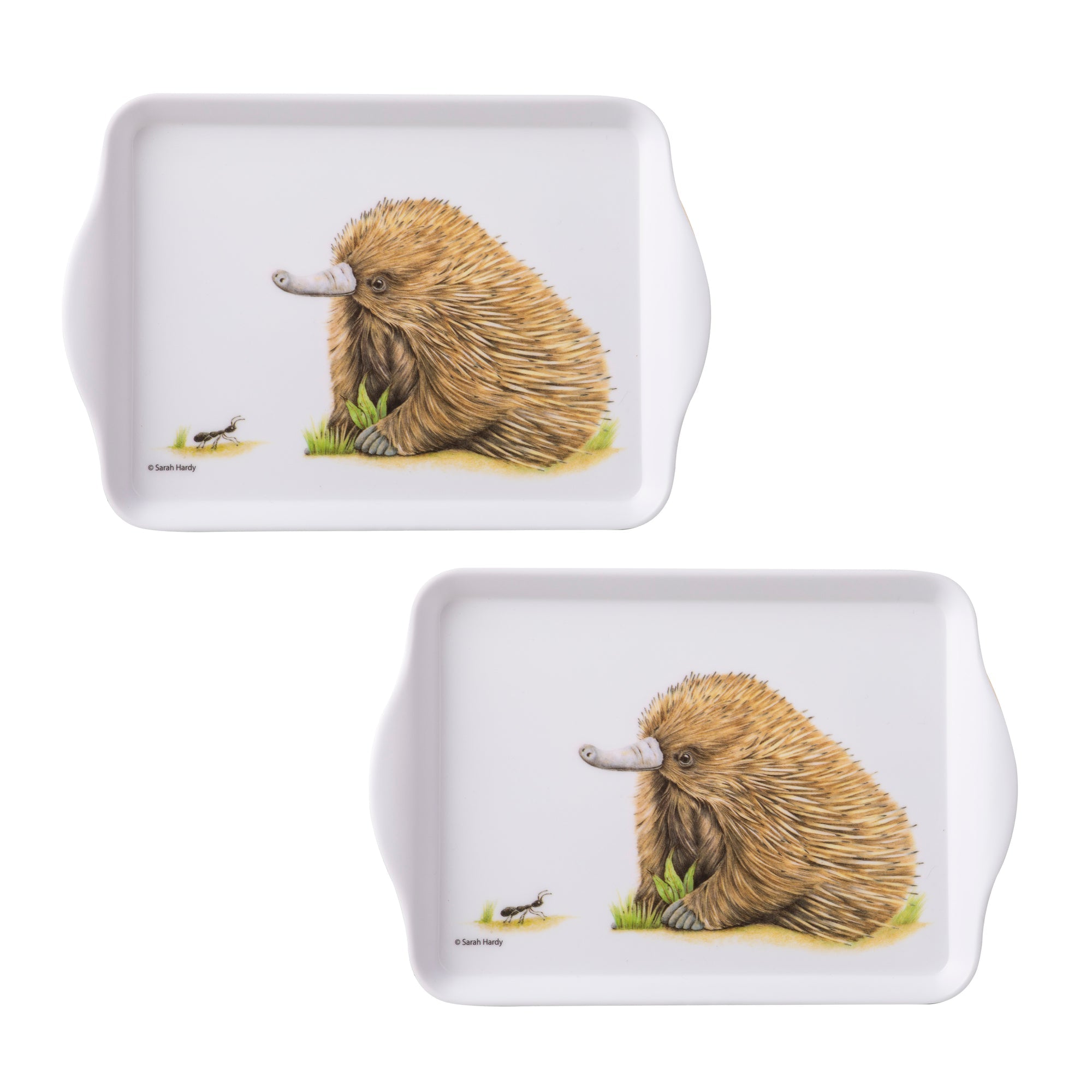 Ashdene Bush Buddies Echidna Set Of 2 Scatter Tray
