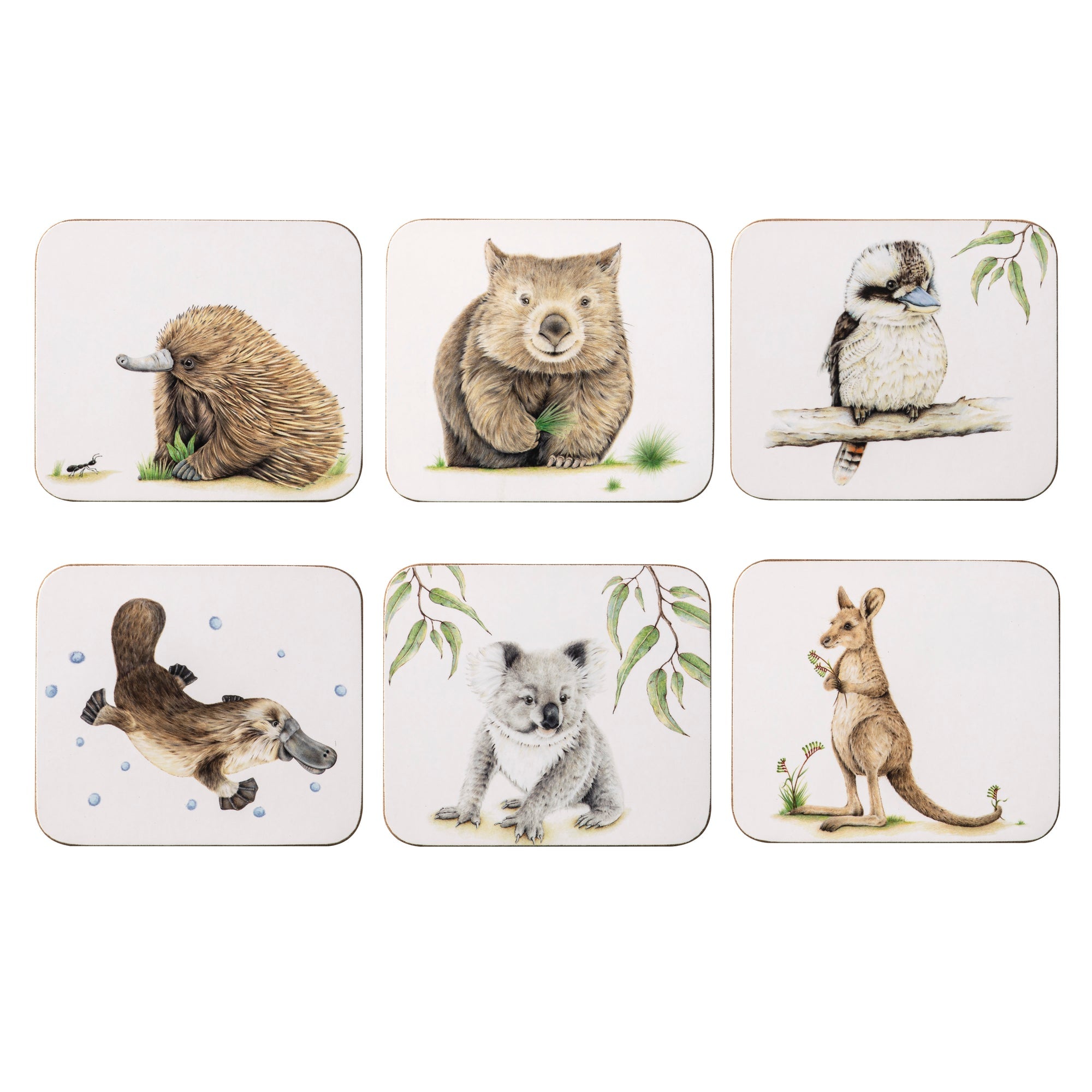 Ashdene Bush Buddies Coasters 6pk