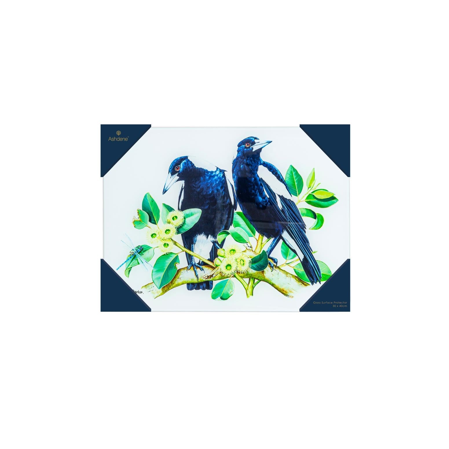 Ashdene Australian Birds Magpies Surface Protector