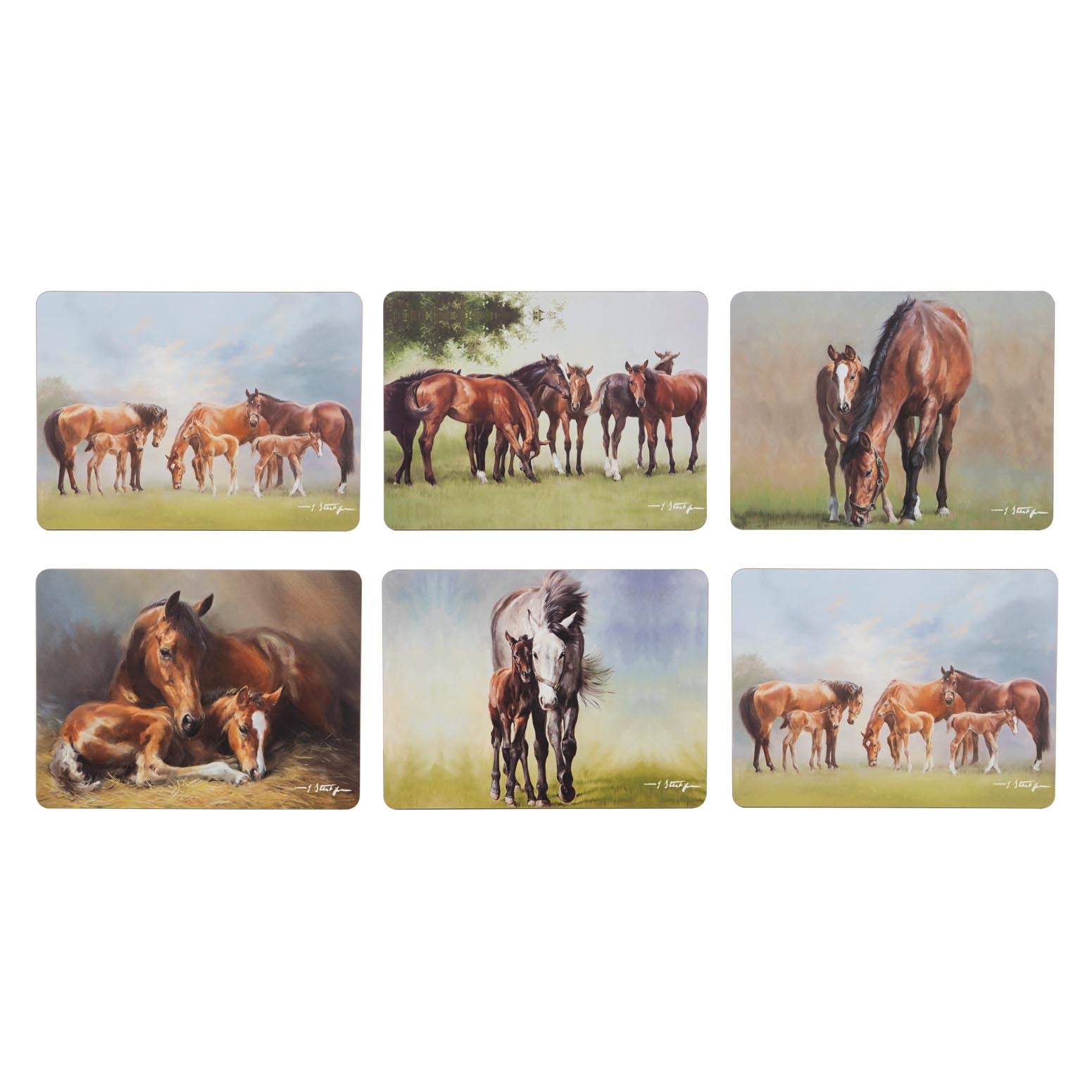 Ashdene Mares & Foals Assorted 6pk Placemat