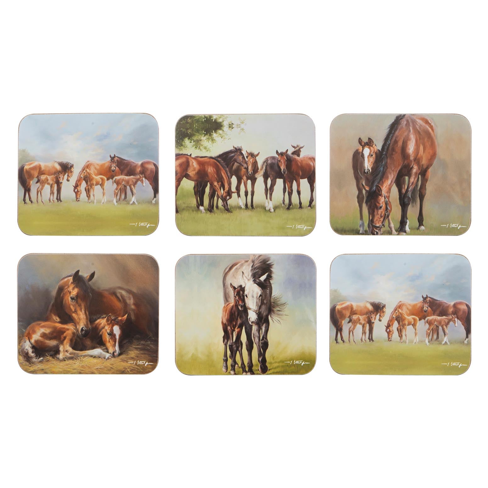 Ashdene Mares & Foals Assorted 6pk Coaster