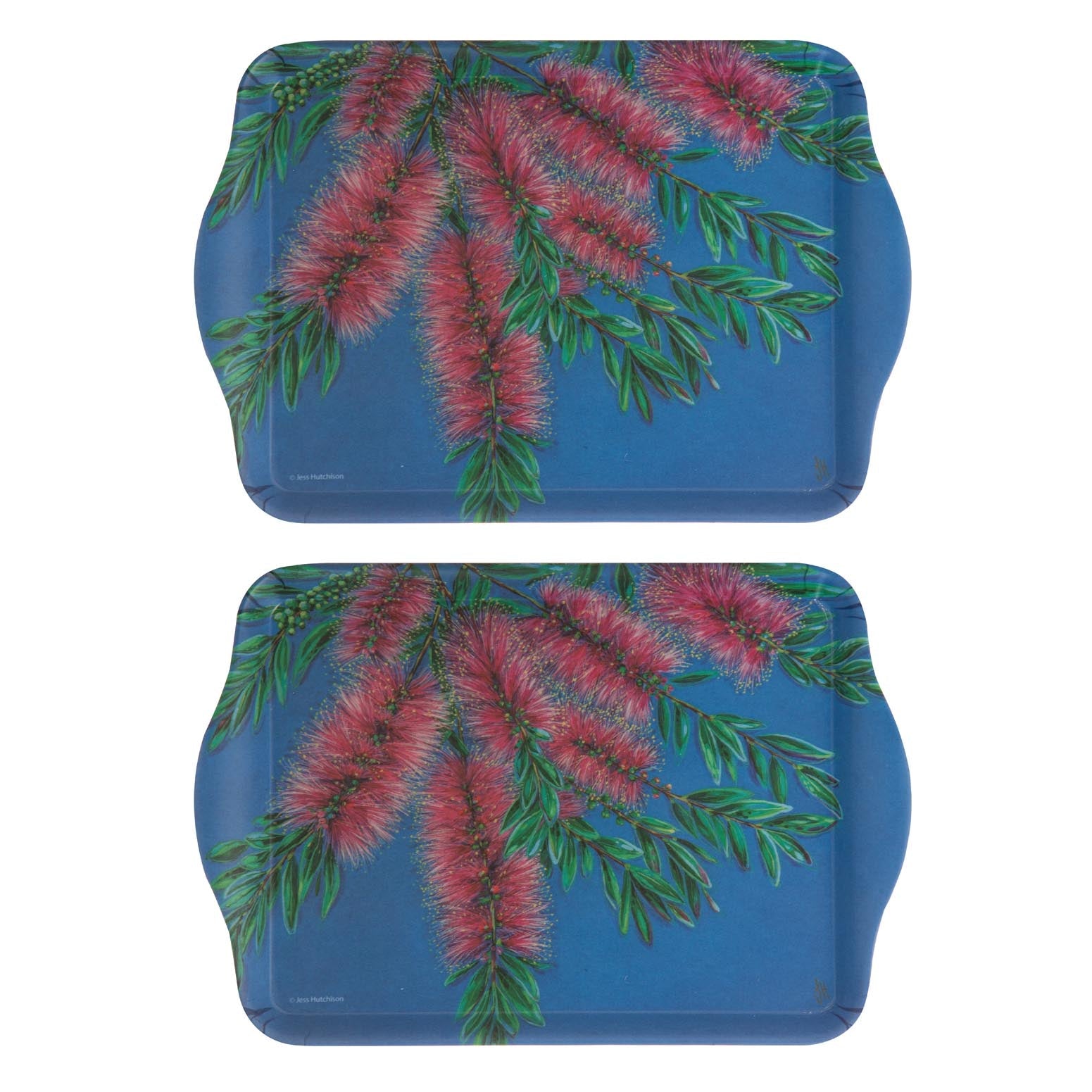 Ashdene Native Flora Bottle Brush 2pk Scatter Tray