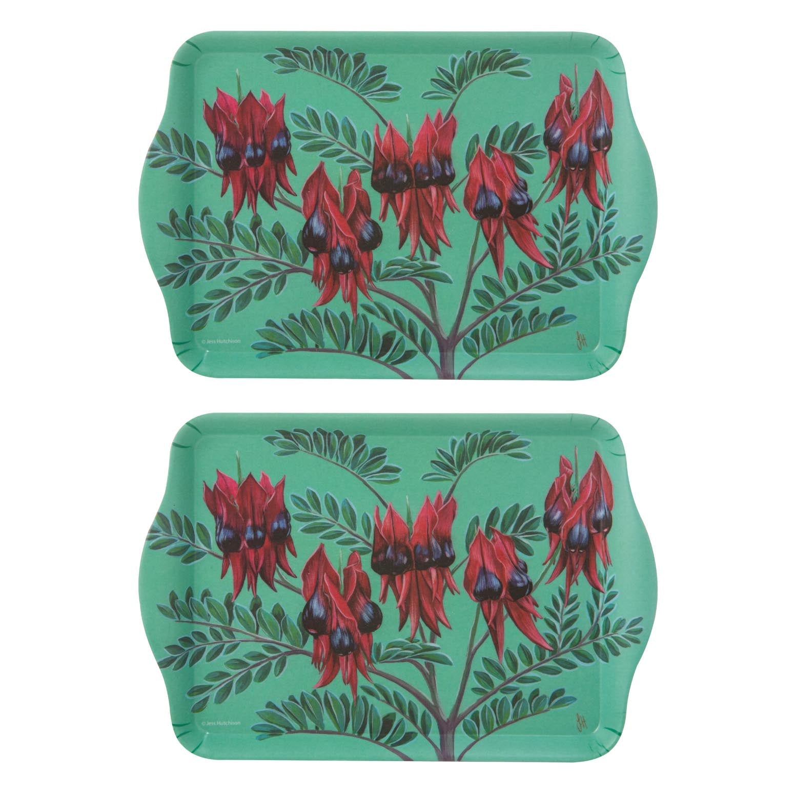 Ashdene Native Flora Sturt's Dst Pea 2pk Scatter Tray
