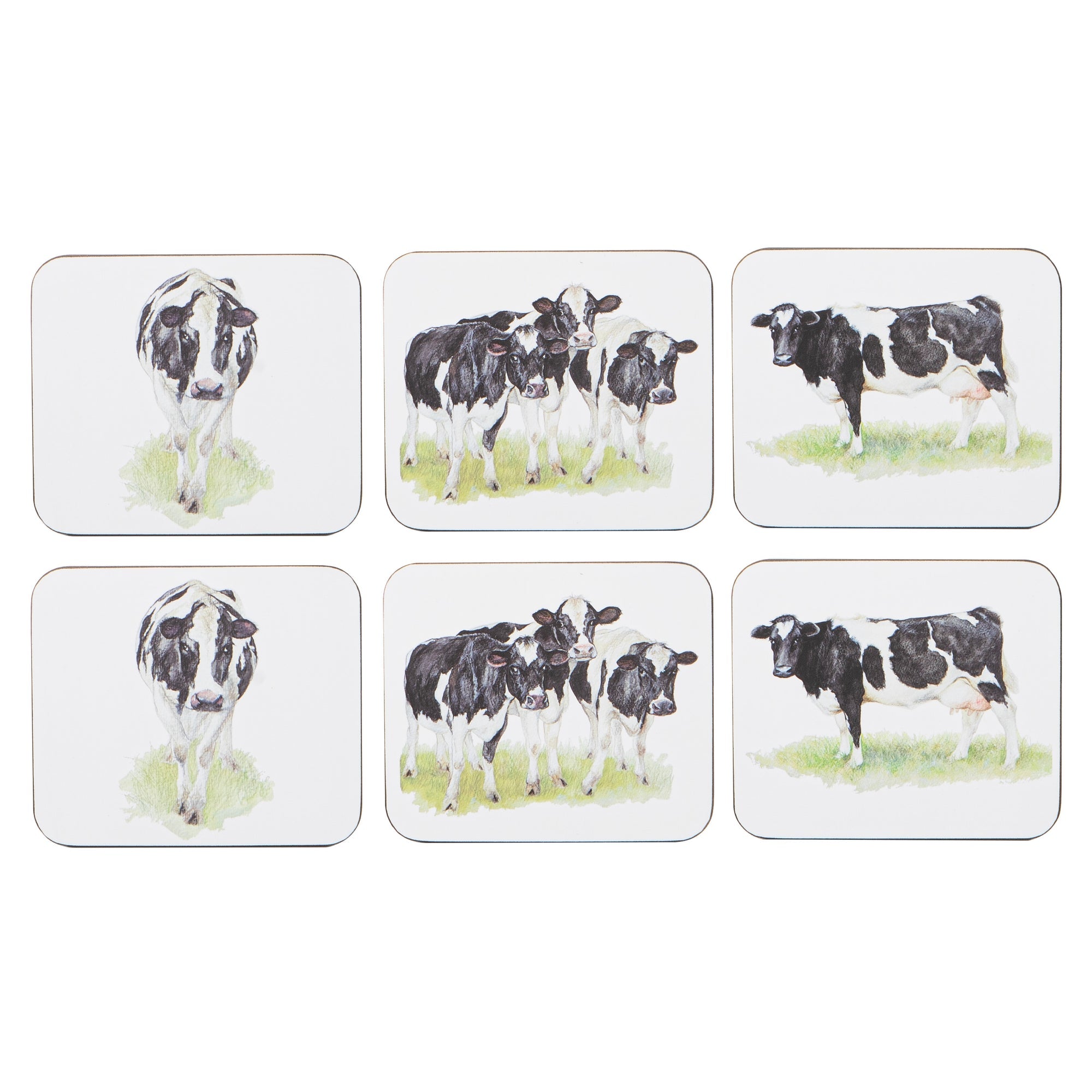 Ashdene Meet The Girls 6pk Coaster