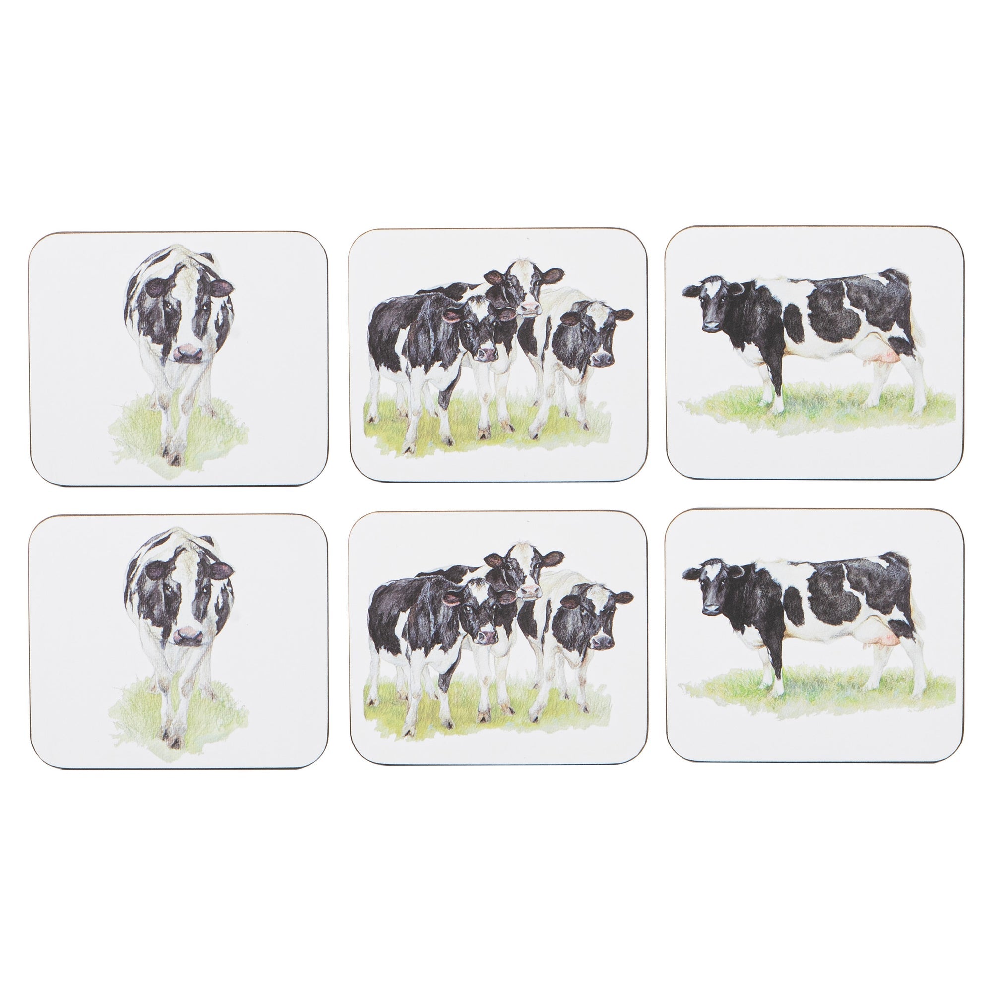 Ashdene Meet The Girls 6pk Placemat