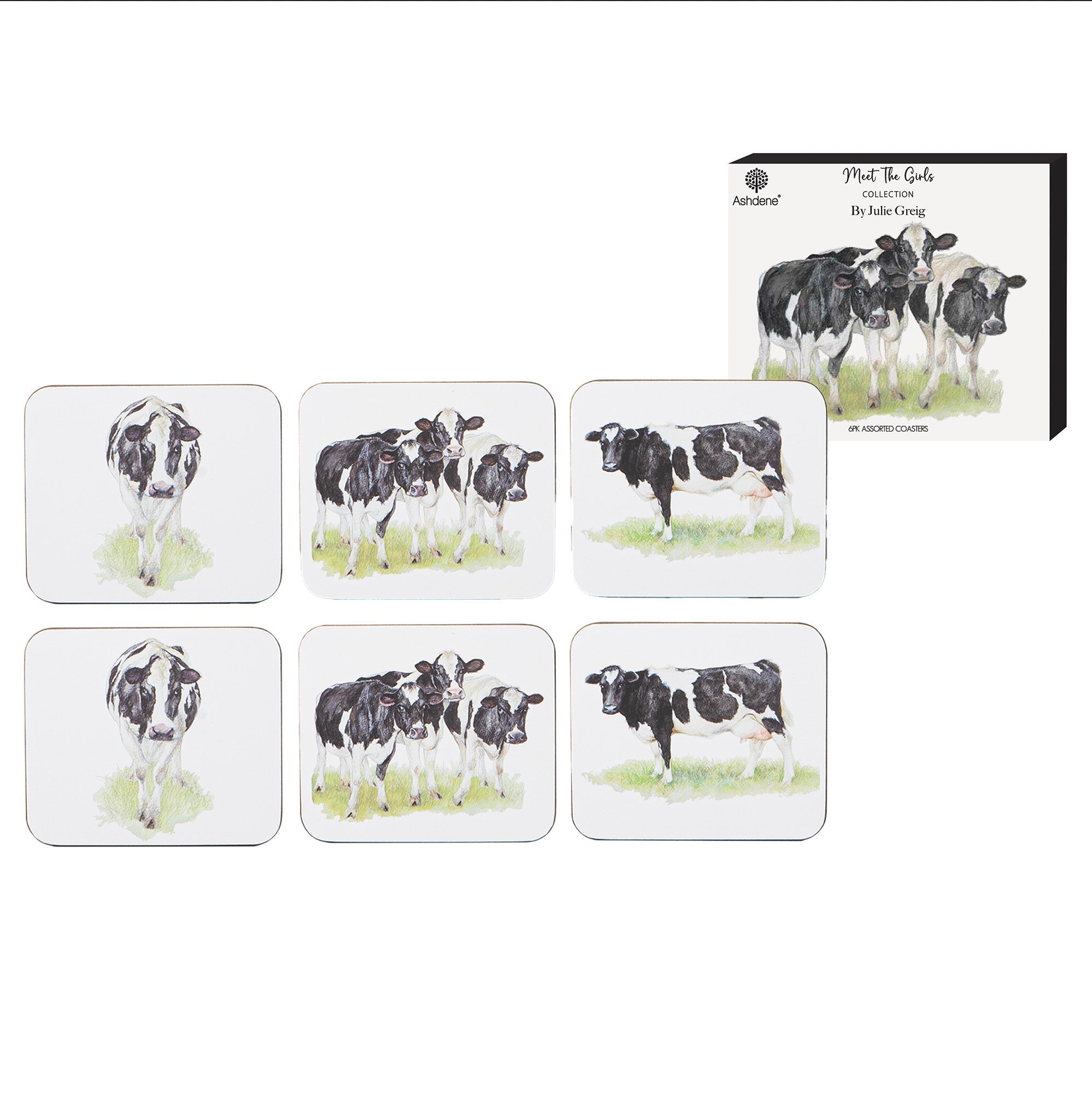 Ashdene Meet The Girls 6pk Coaster