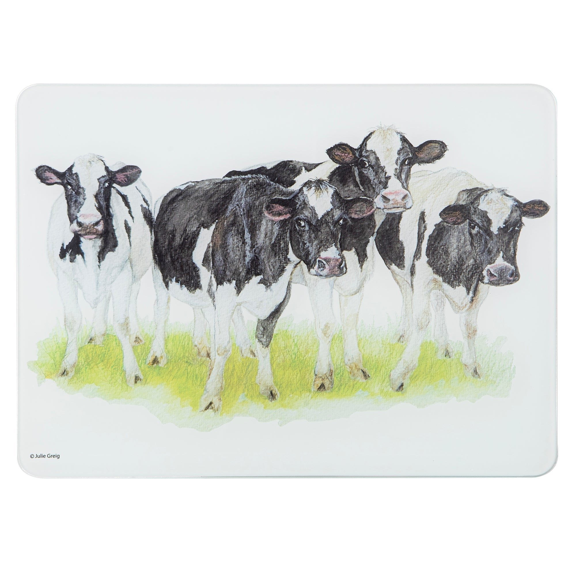 Ashdene Meet The Girls Surface Protector