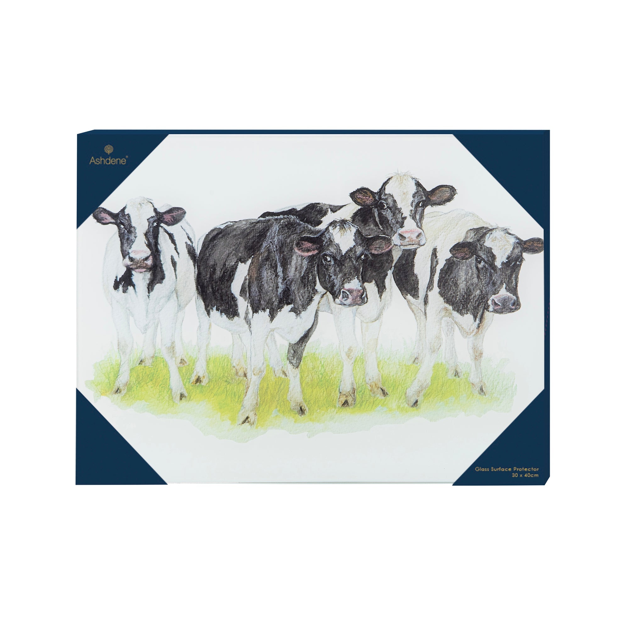 Ashdene Meet The Girls Surface Protector