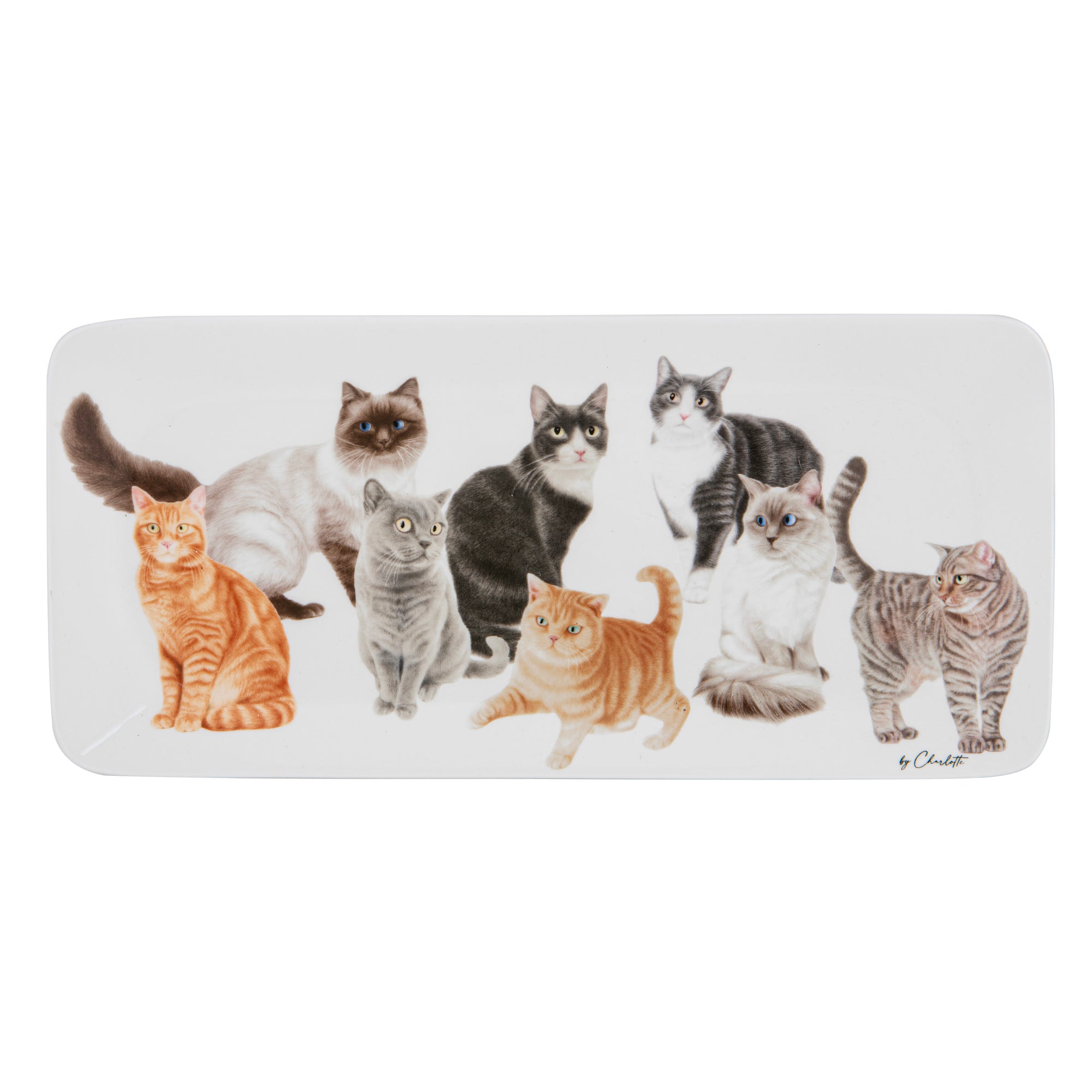 Ashdene Purrrfect Moments Rectangle Platter