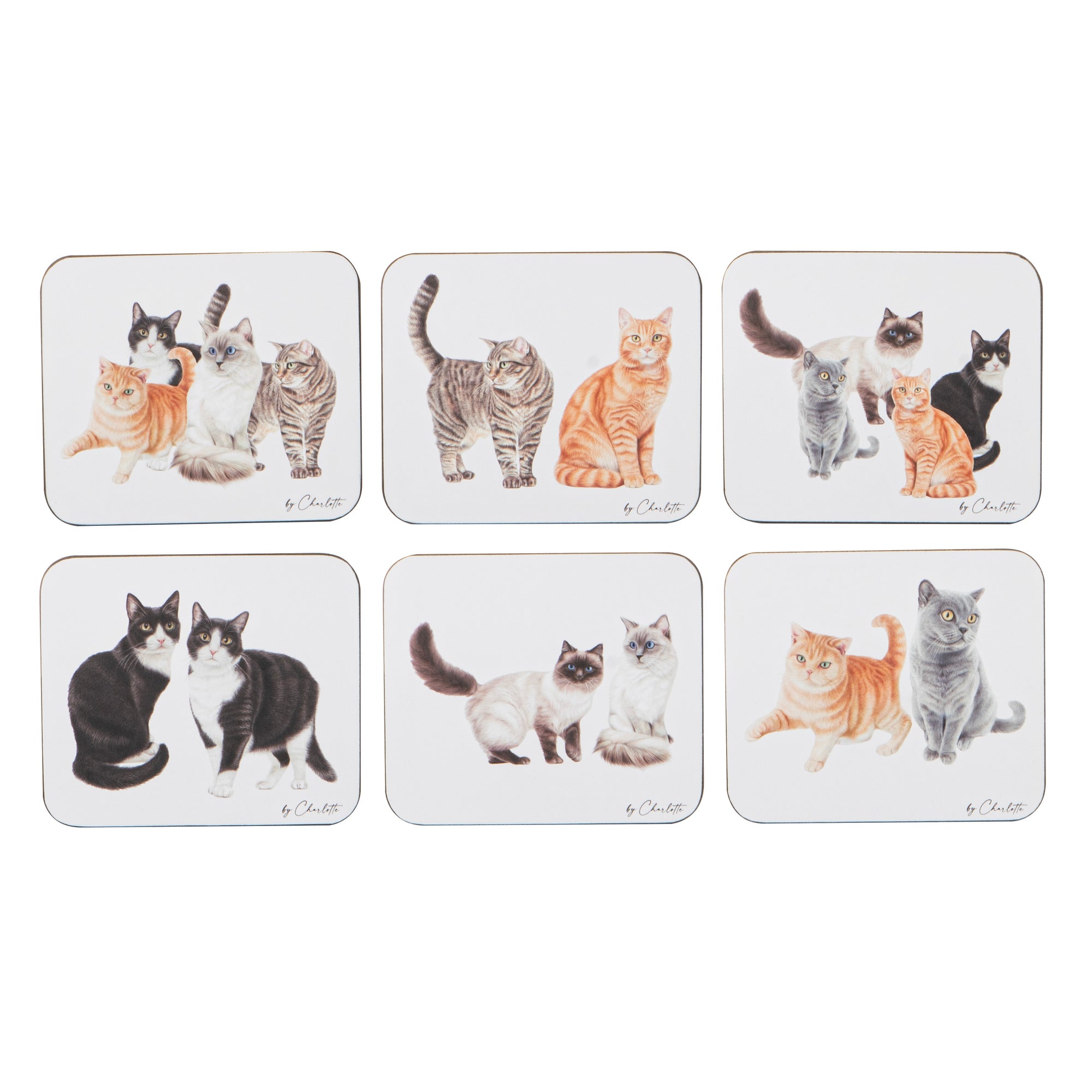 Ashdene Purrrfect Moments 6pk Coaster