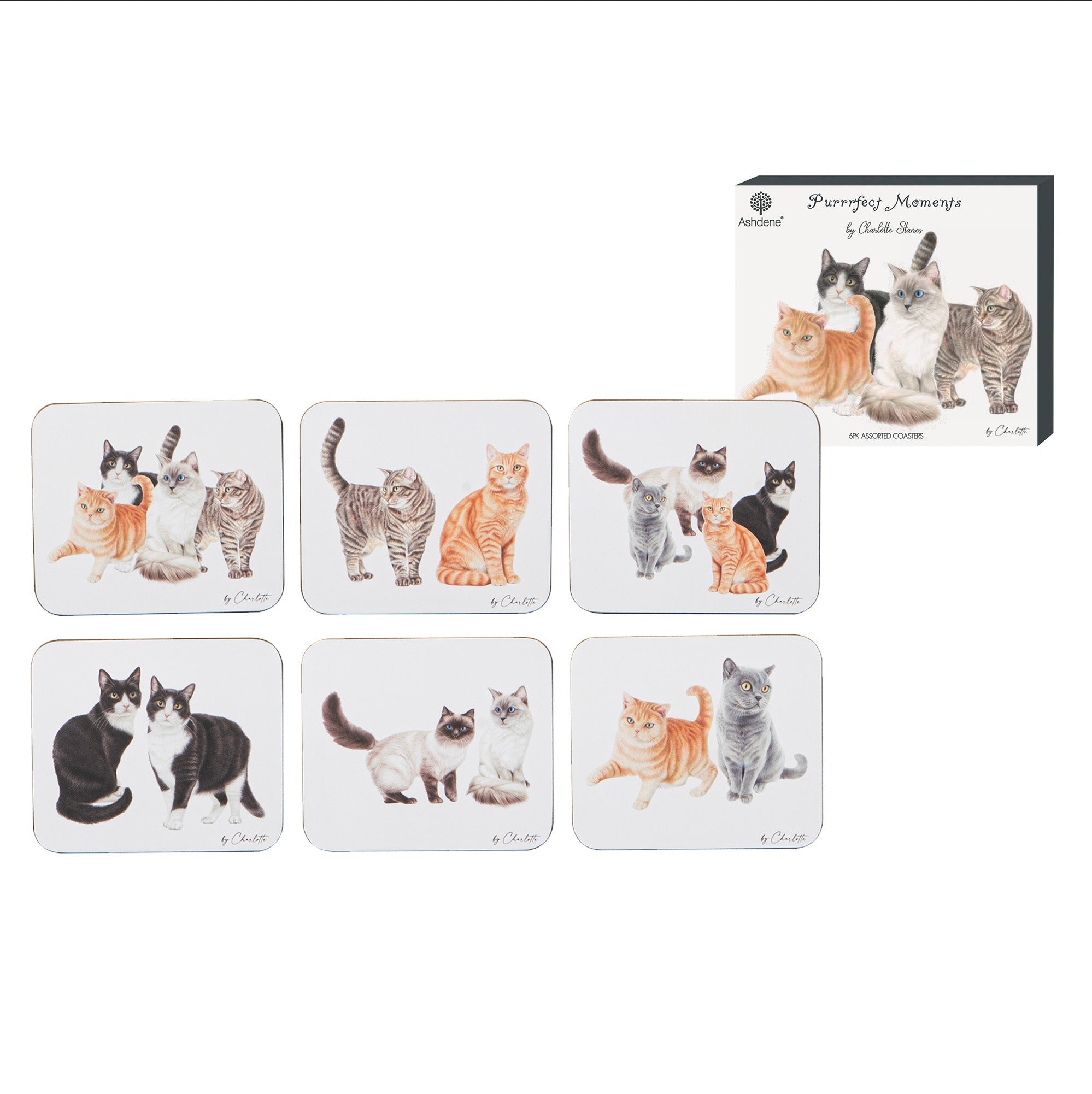 Ashdene Purrrfect Moments 6pk Coaster