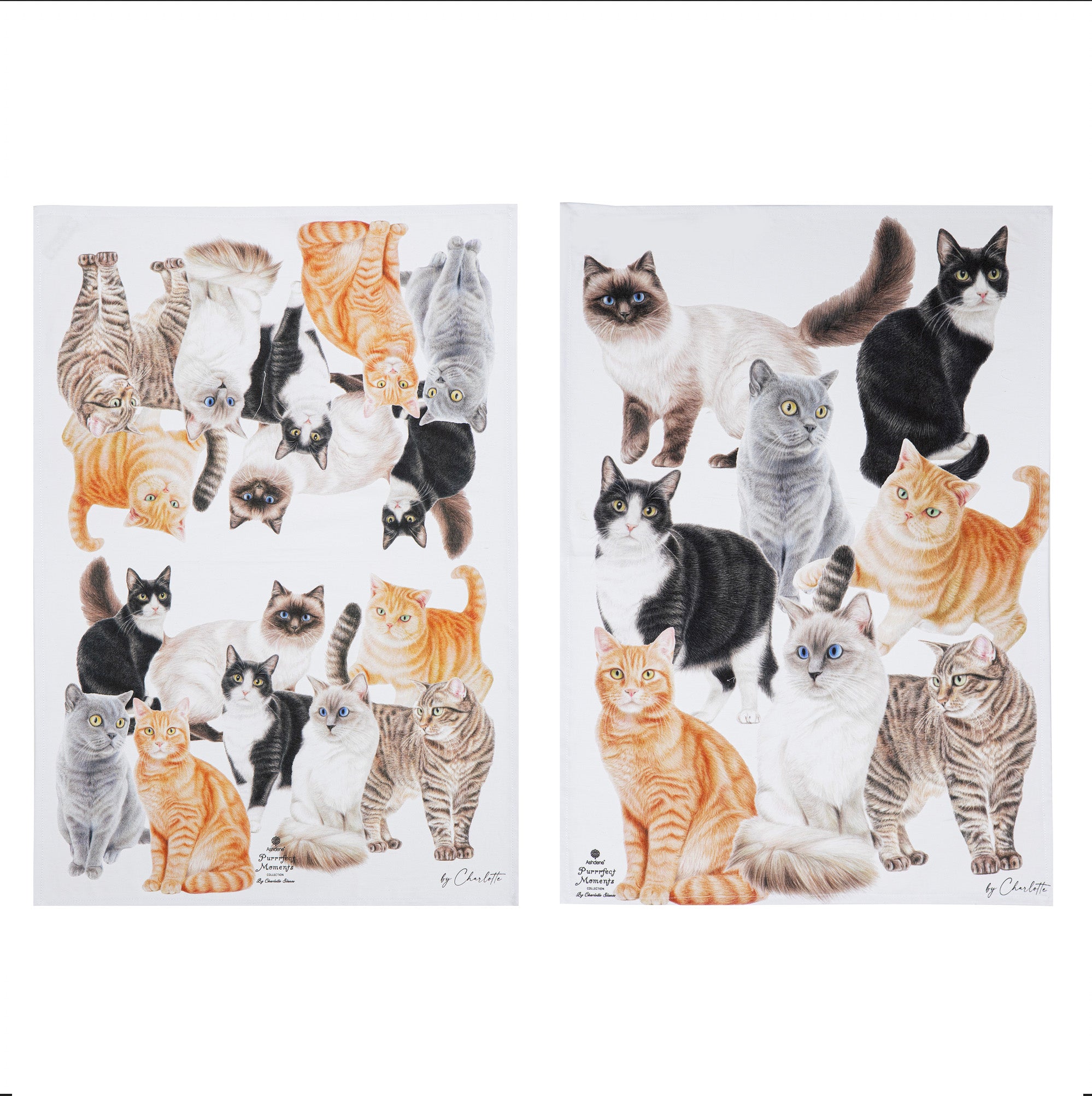 Ashdene Purrrfect Moments 2pk Kitchen Towel