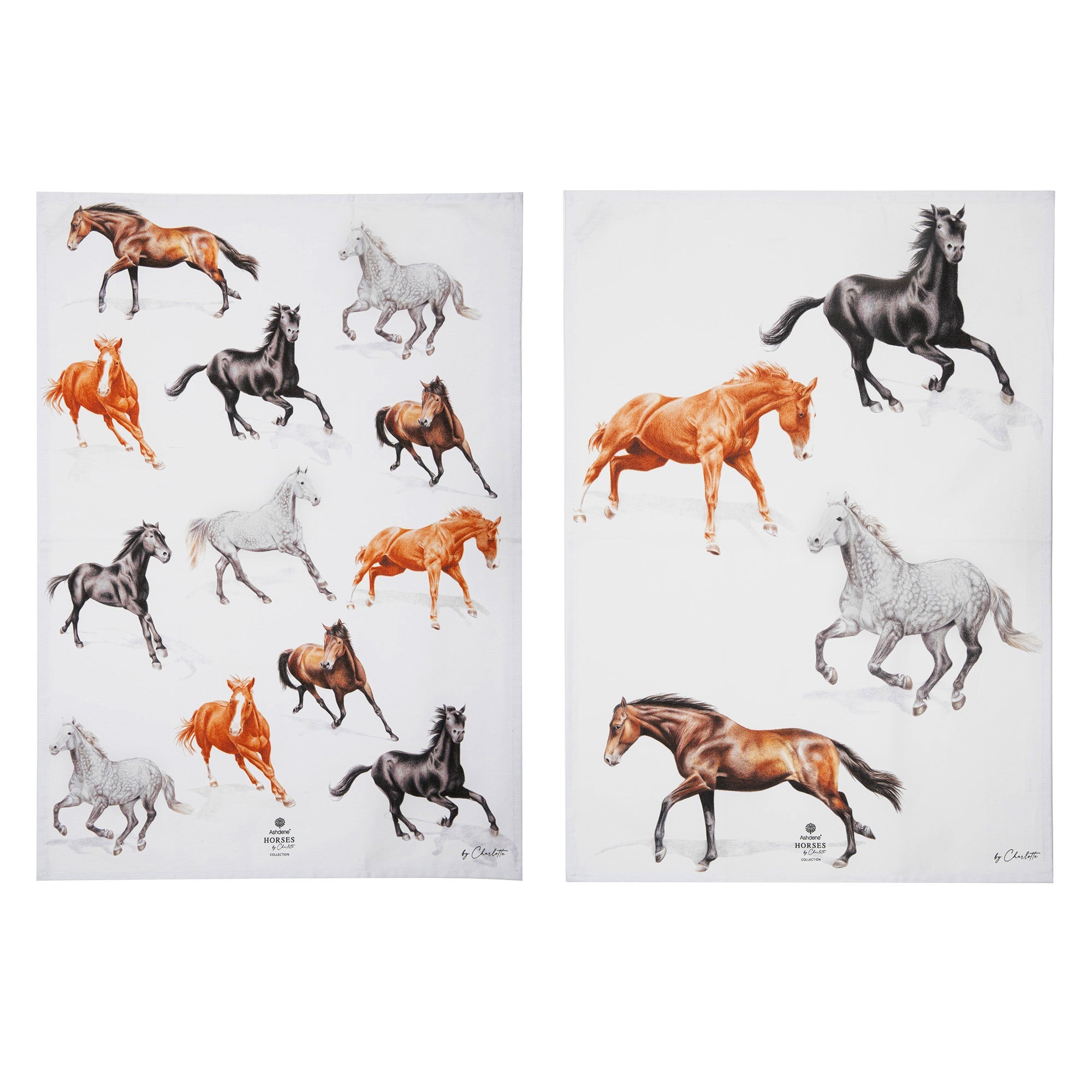 Ashdene Horses By Charlotte 2pk Kitchen Towel