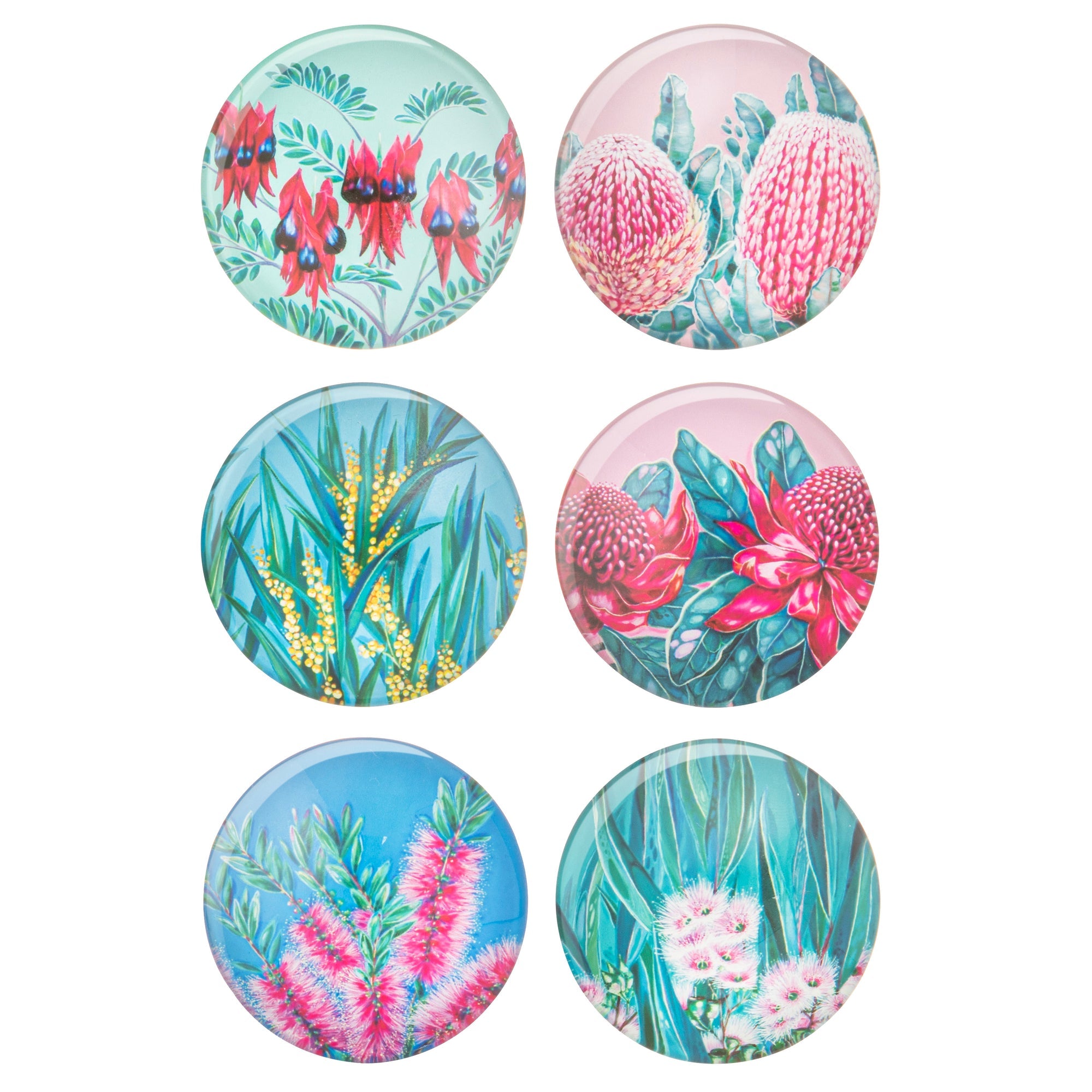 Ashdene Native Flora Set of 6 Magnet