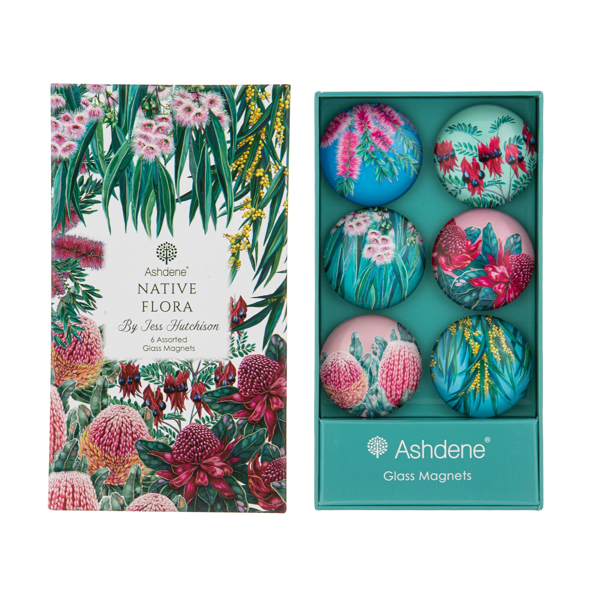 Ashdene Native Flora Set of 6 Magnet