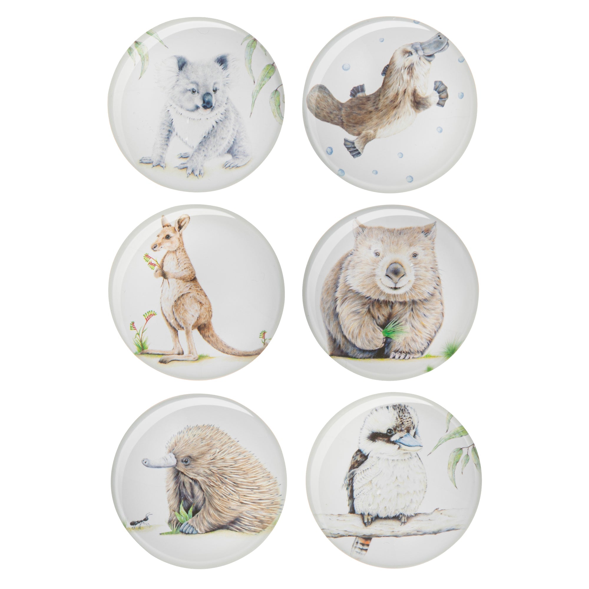 Ashdene Bush Buddies Set of 6 Magnet