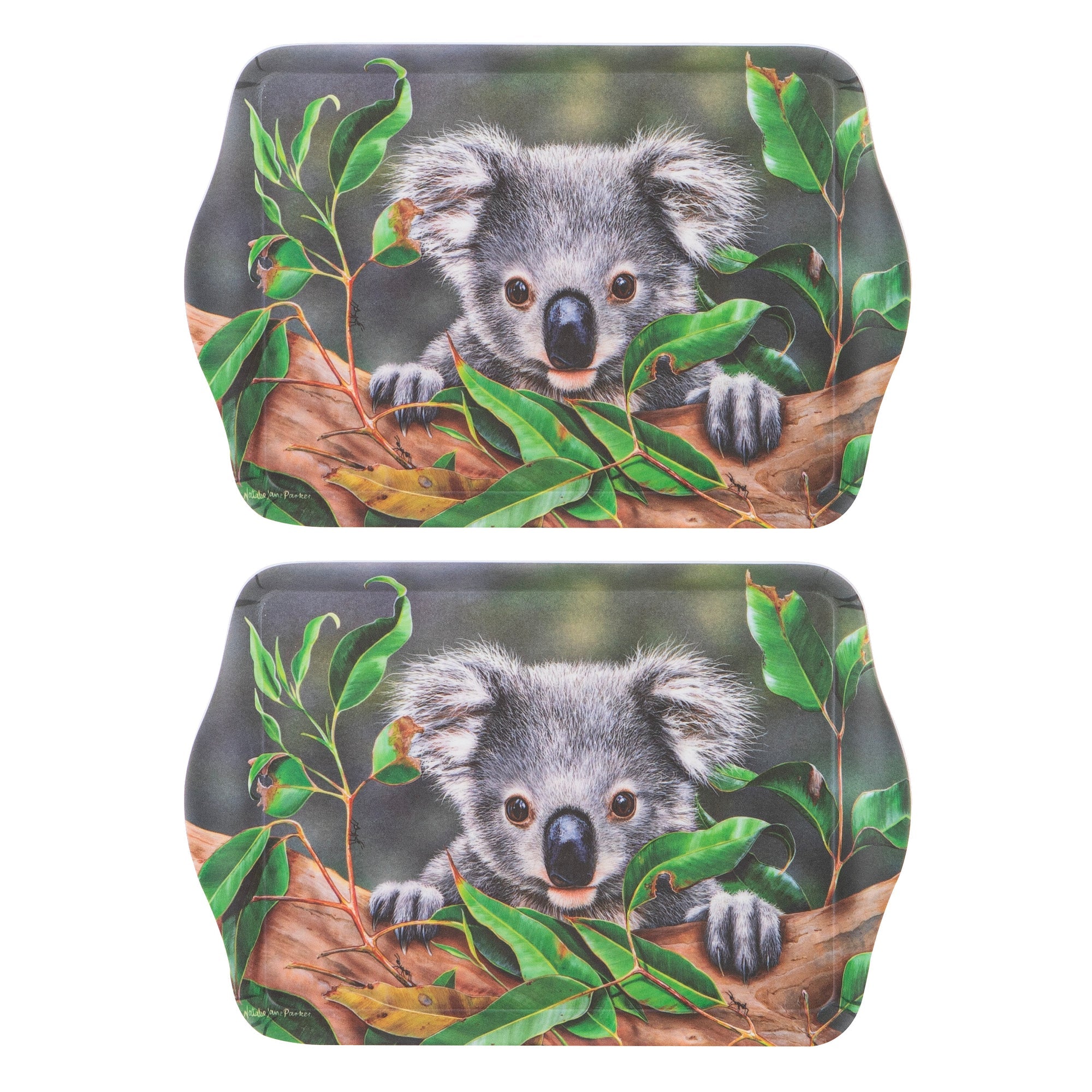 Ashdene Babies Of The Bush Koala Joey 2pk Scatter Tray