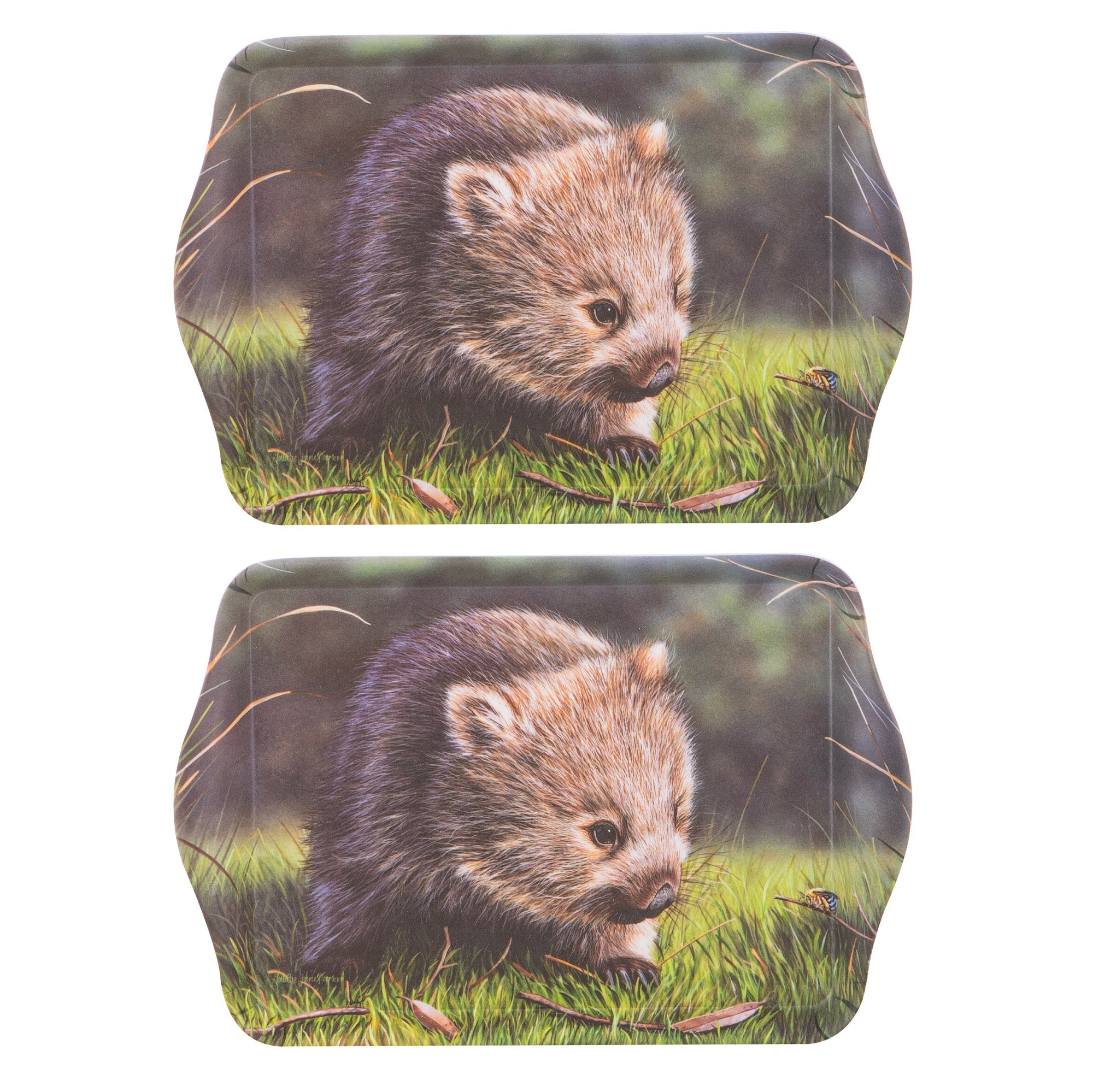Ashdene Babies Of The Bush Wombat Joey 2pk Scatter Tray