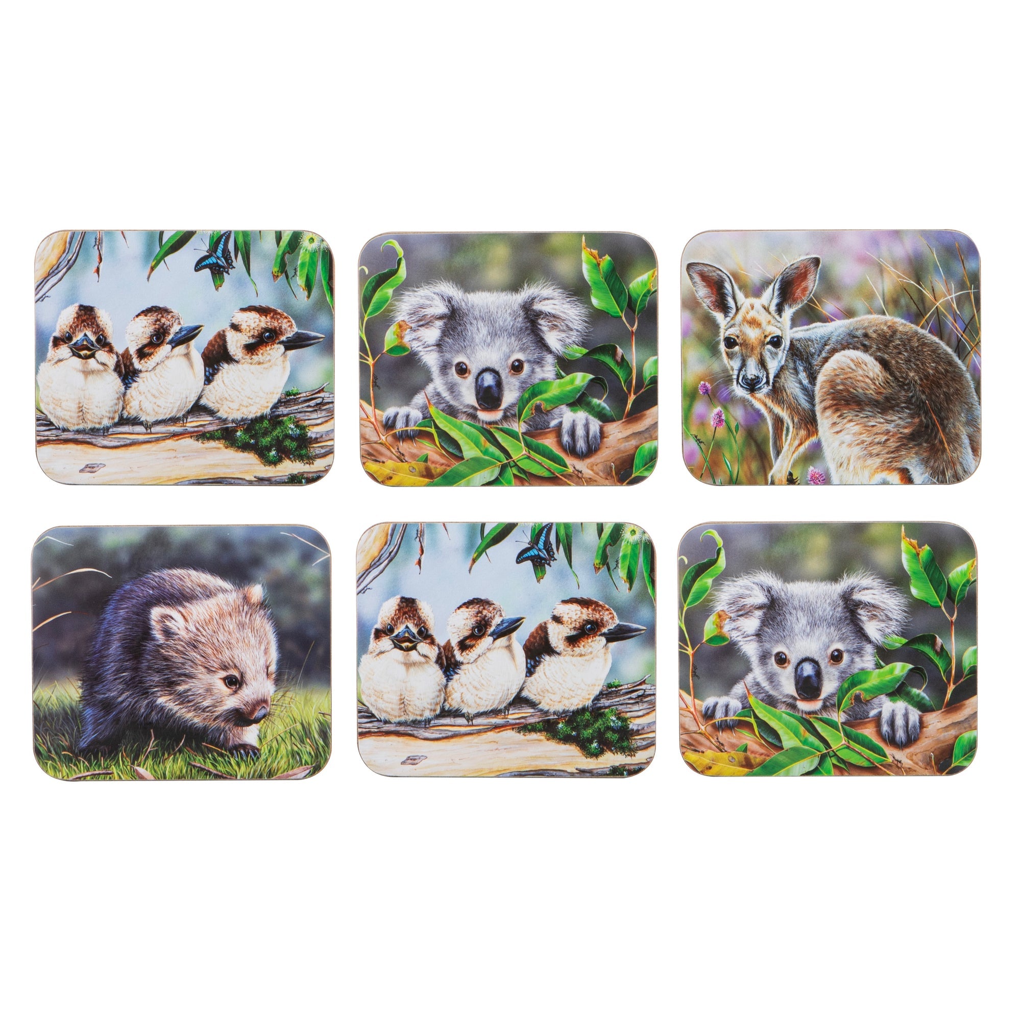Ashdene Babies Of The Bush 6pk Coaster