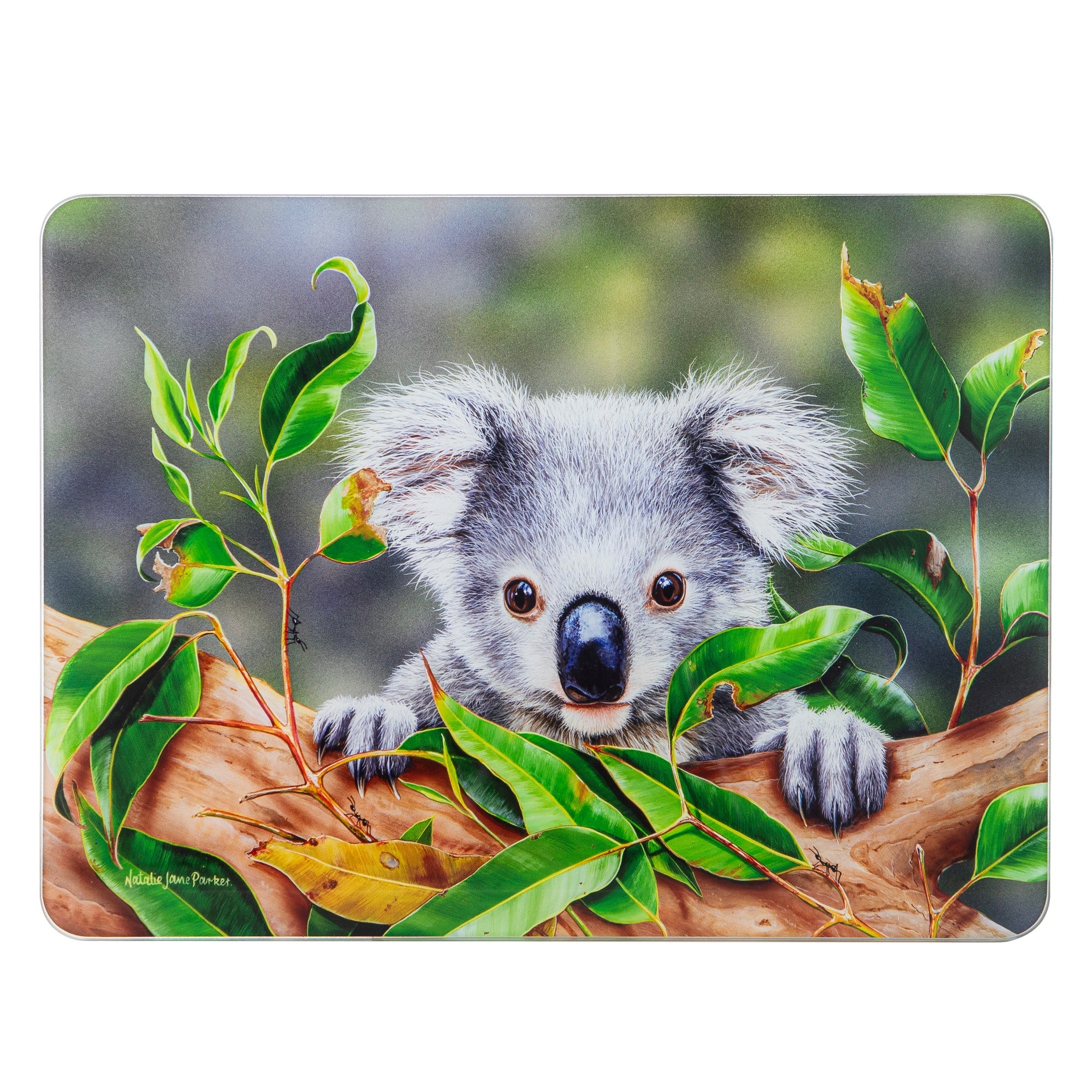Ashdene Babies Of The Bush Koala Joey Surface Protector