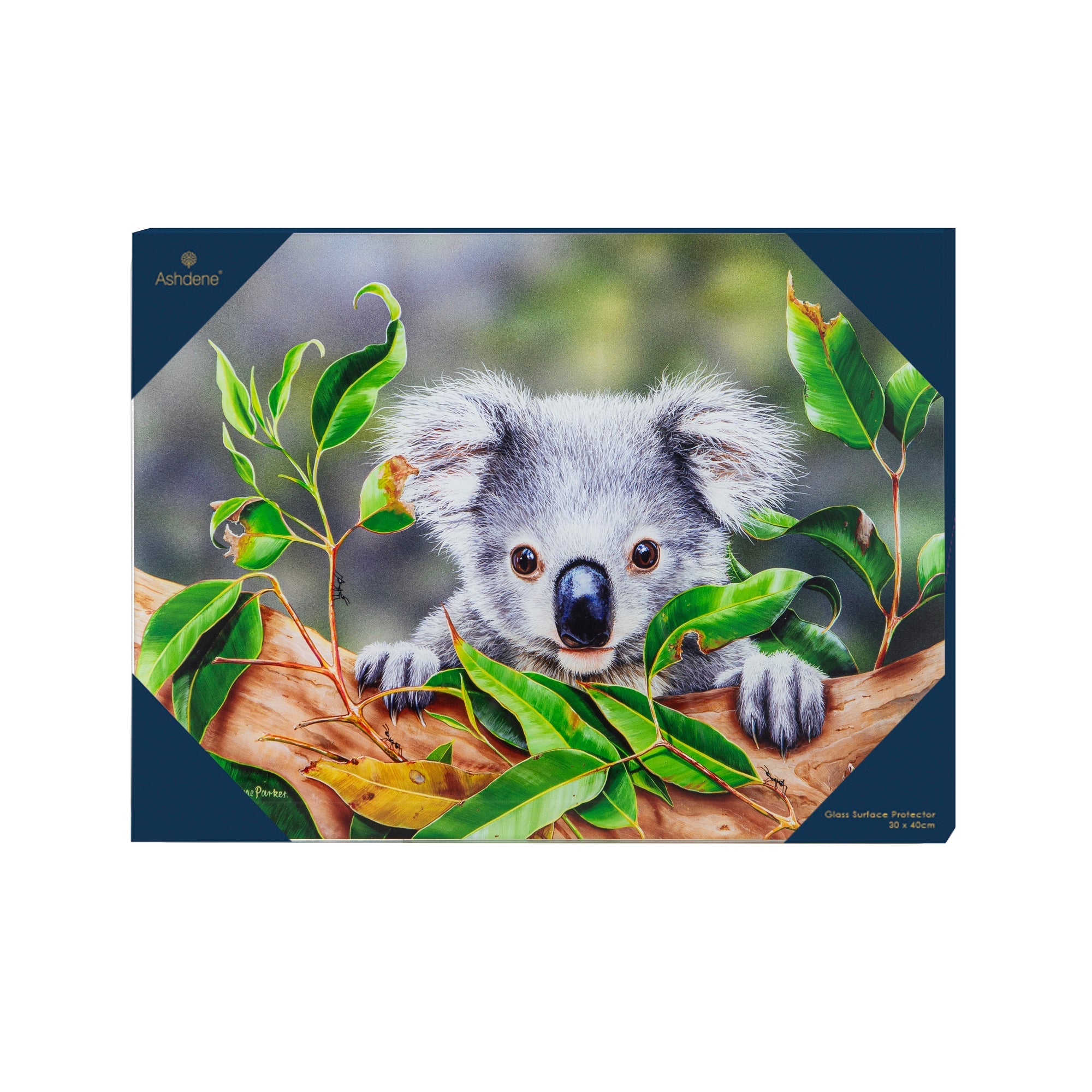 Ashdene Babies Of The Bush Koala Joey Surface Protector