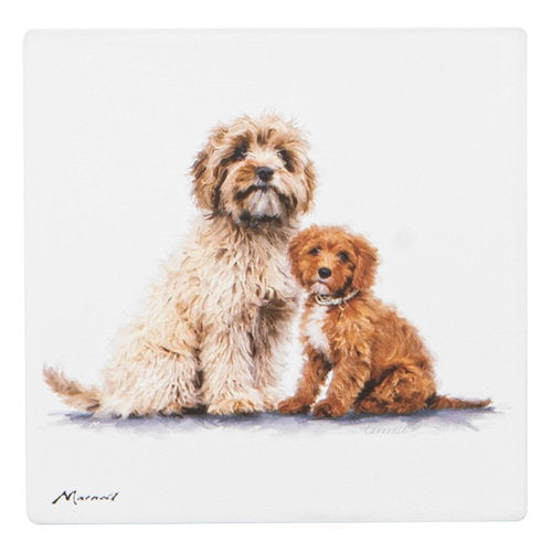 Ashdene Puppy Love Cavoodle Ceramic Coaster