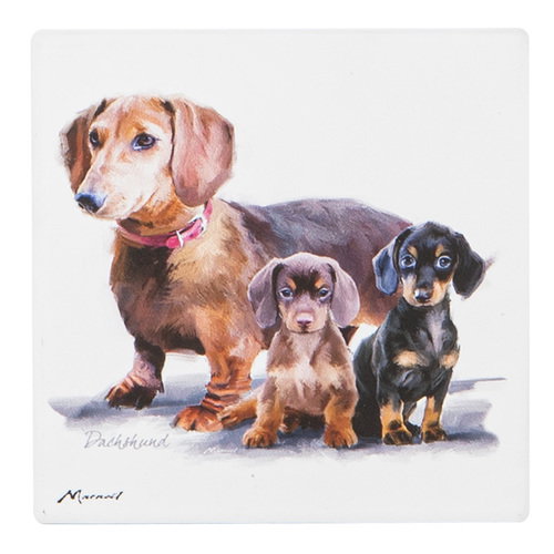 Ashdene Puppy Love Dachshund Ceramic Coaster