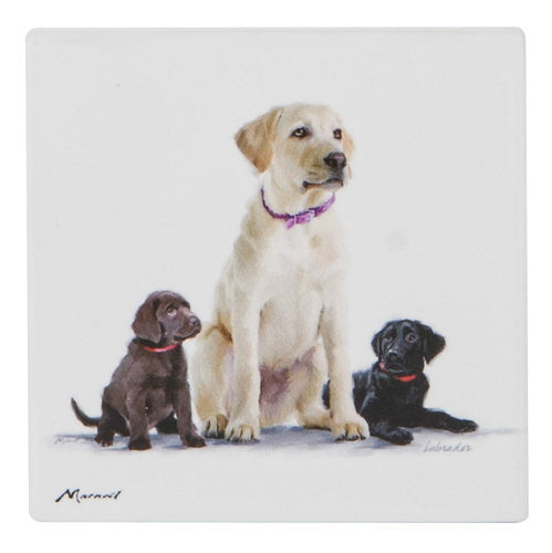 Ashdene Puppy Love Labrador Ceramic Coaster