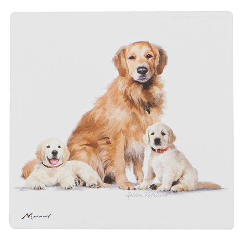 Ashdene Puppy Love Golden Retriever Ceramic Coaster