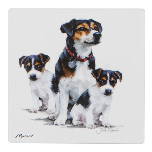 Ashdene Puppy Love Jack Russell Ceramic Coaster