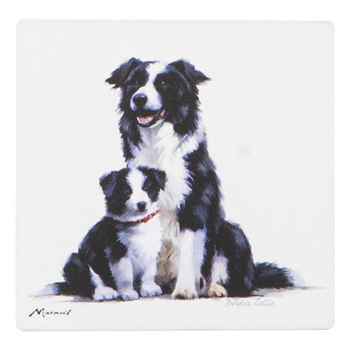 Ashdene Puppy Love Border Collie Ceramic Coaster
