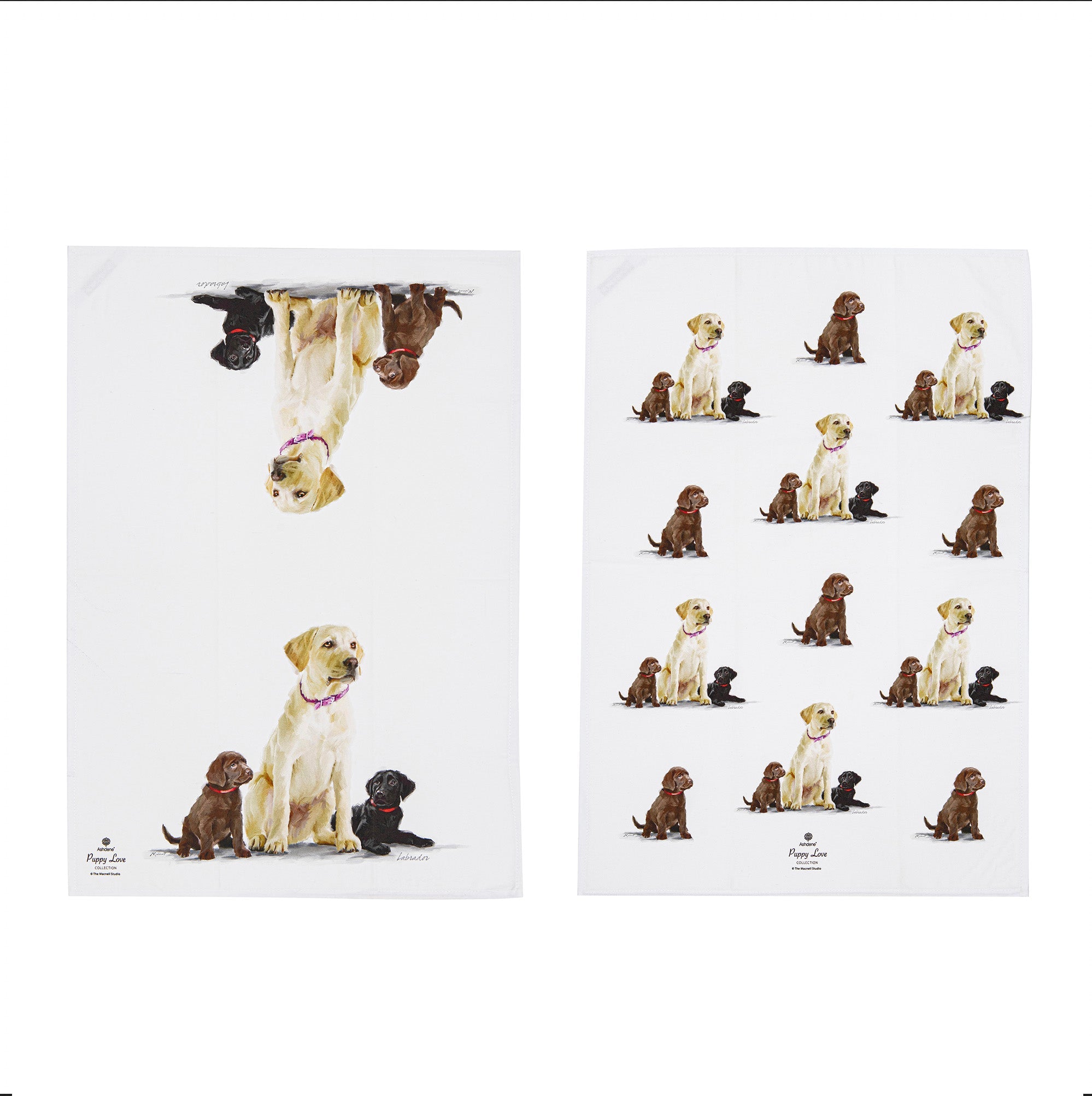 Ashdene Puppy Love Labrador 2pk Kitchen Towel