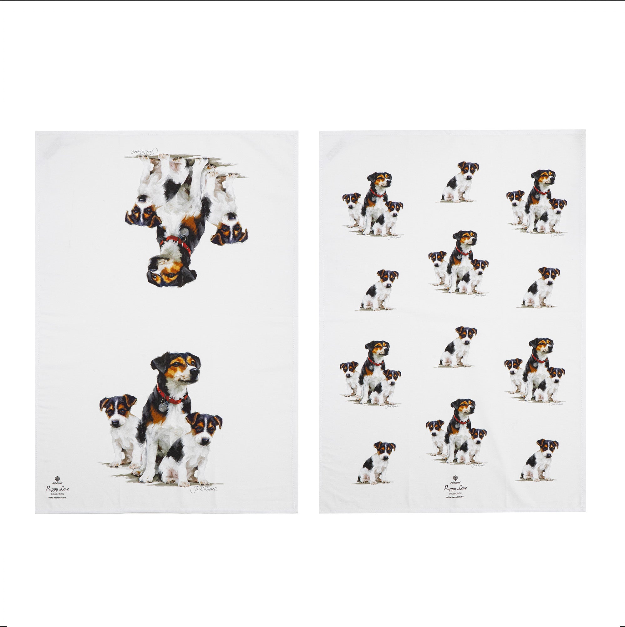 Ashdene Puppy Love Jack Russell 2pk Kitchen Towel