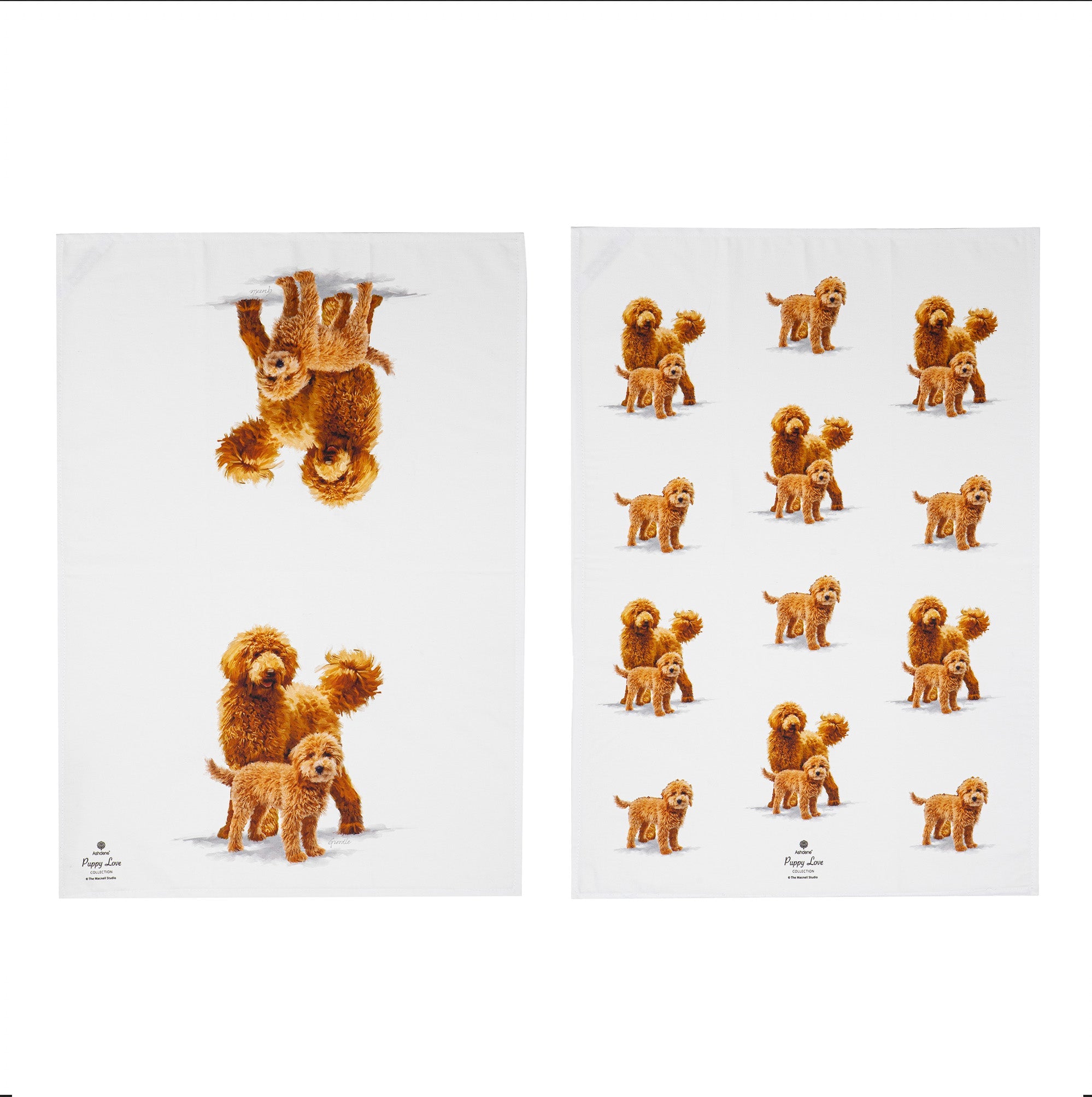 Ashdene Puppy Love Groodle 2pk Kitchen Towel