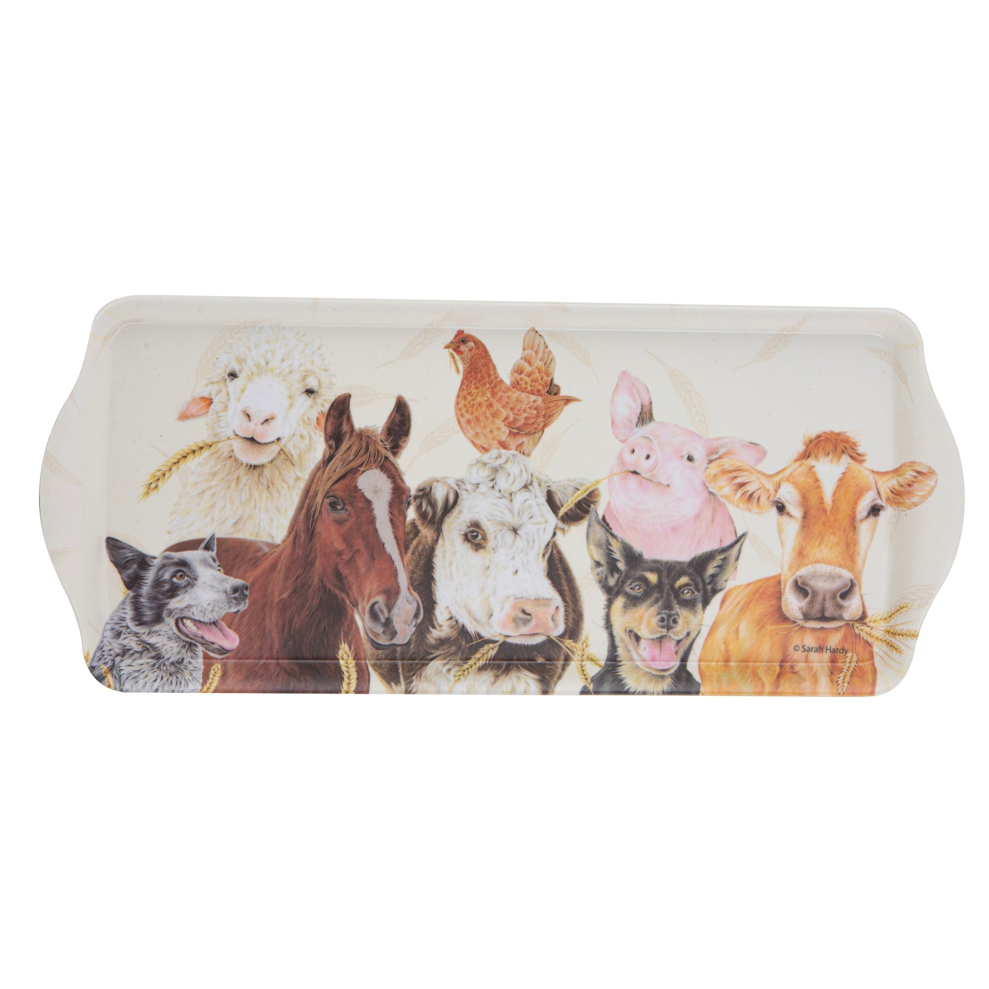 Ashdene Farmyard Faces 2 Sandwich Tray