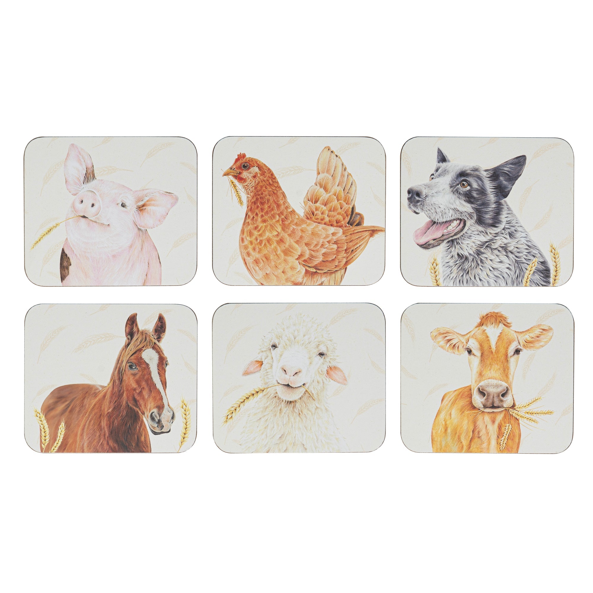 Ashdene Farmyard Faces 2 6pk Coaster