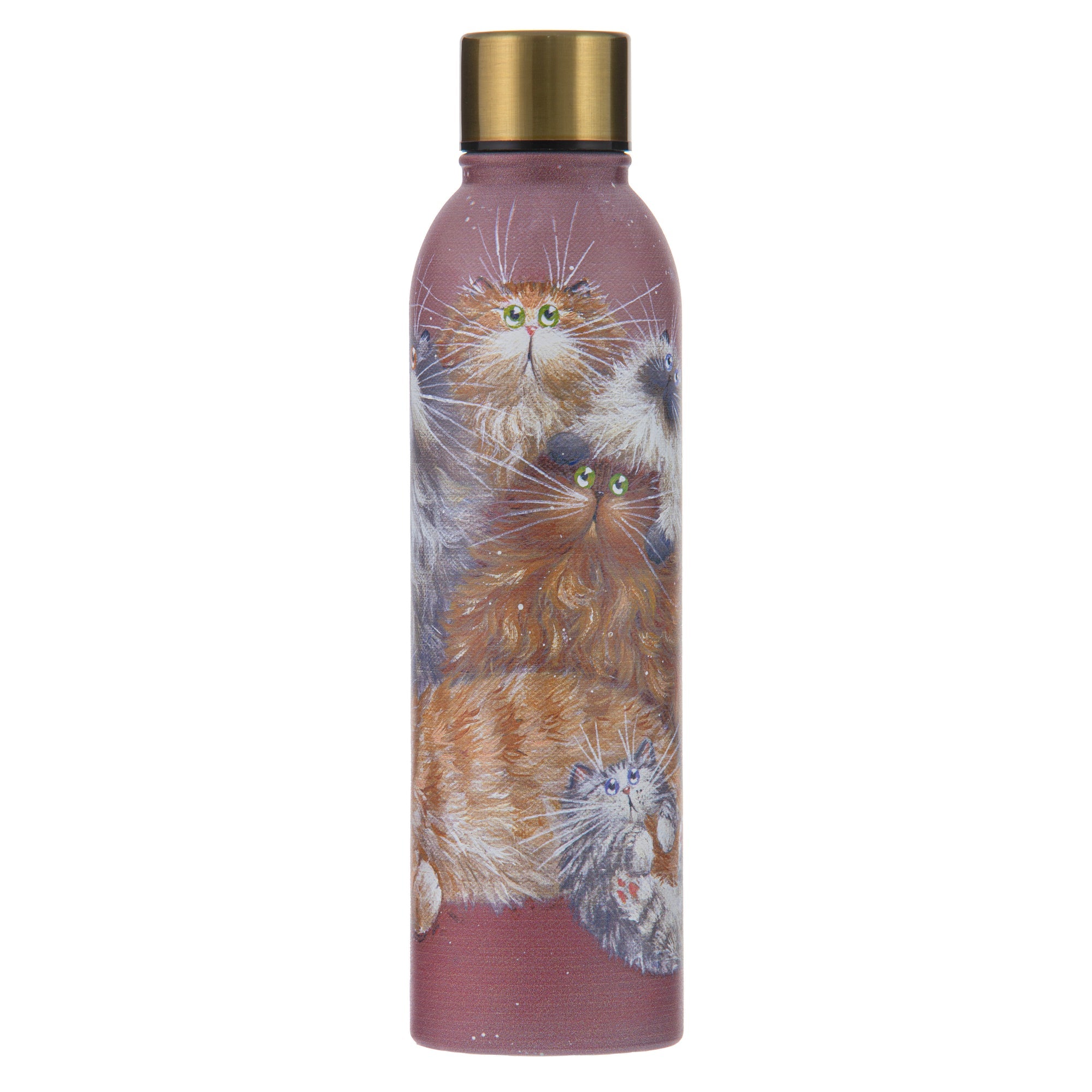 Ashdene Kim's Cats Friends Family Drink Bottle