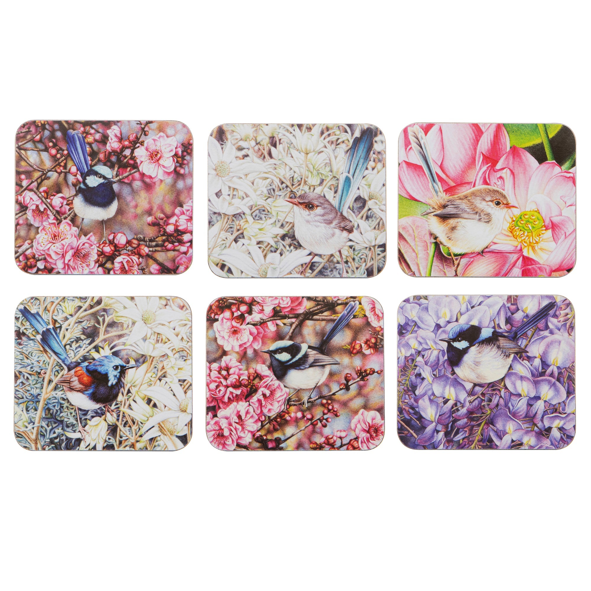 Ashdene Pretty Little Wren 6pk Coaster