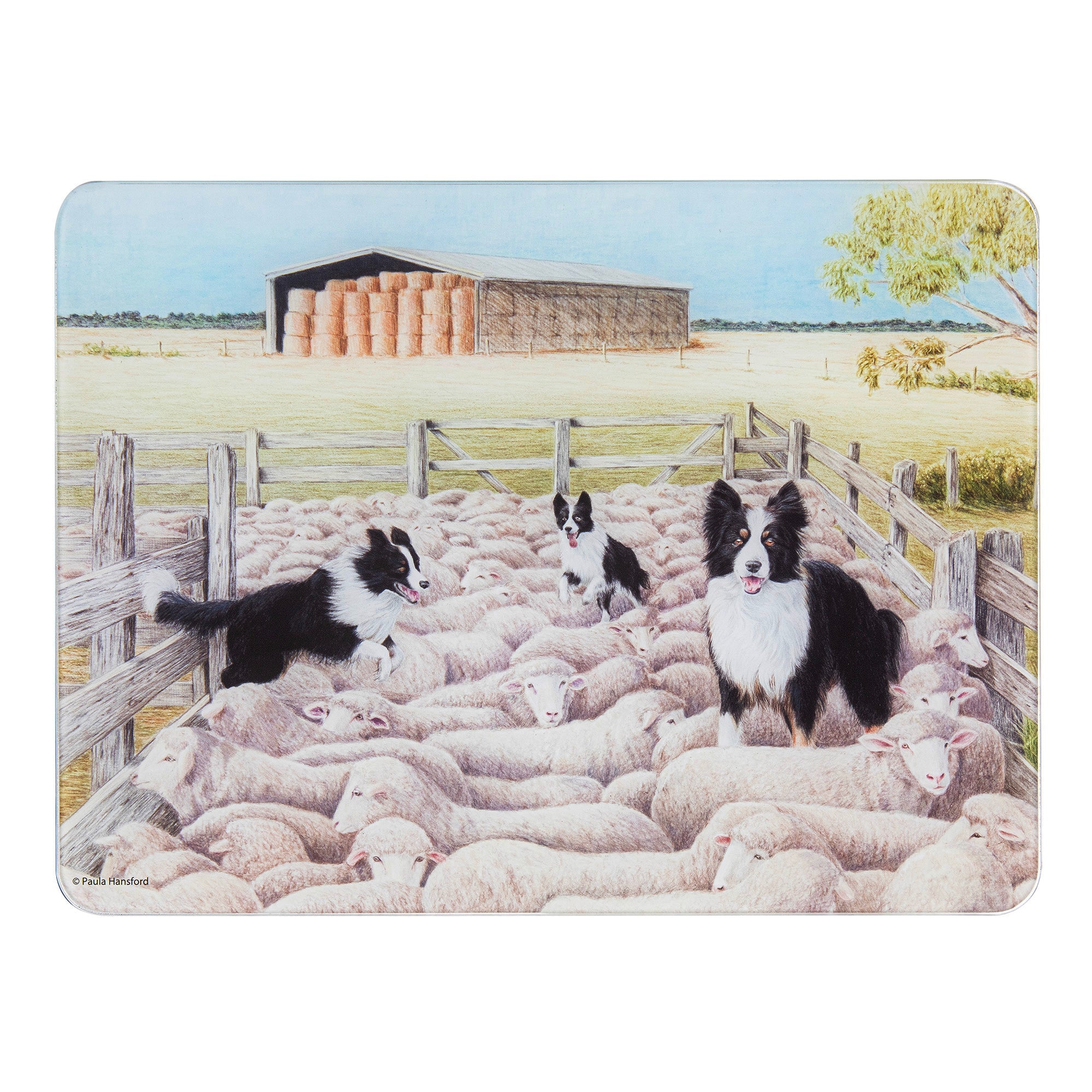 Ashdene Working Dogs Sheep Yard Surface Protector