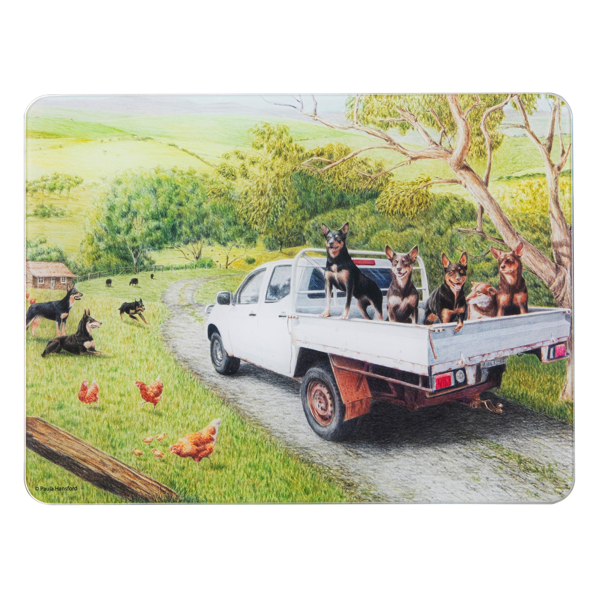 Ashdene Working Dogs Ute Surface Protector