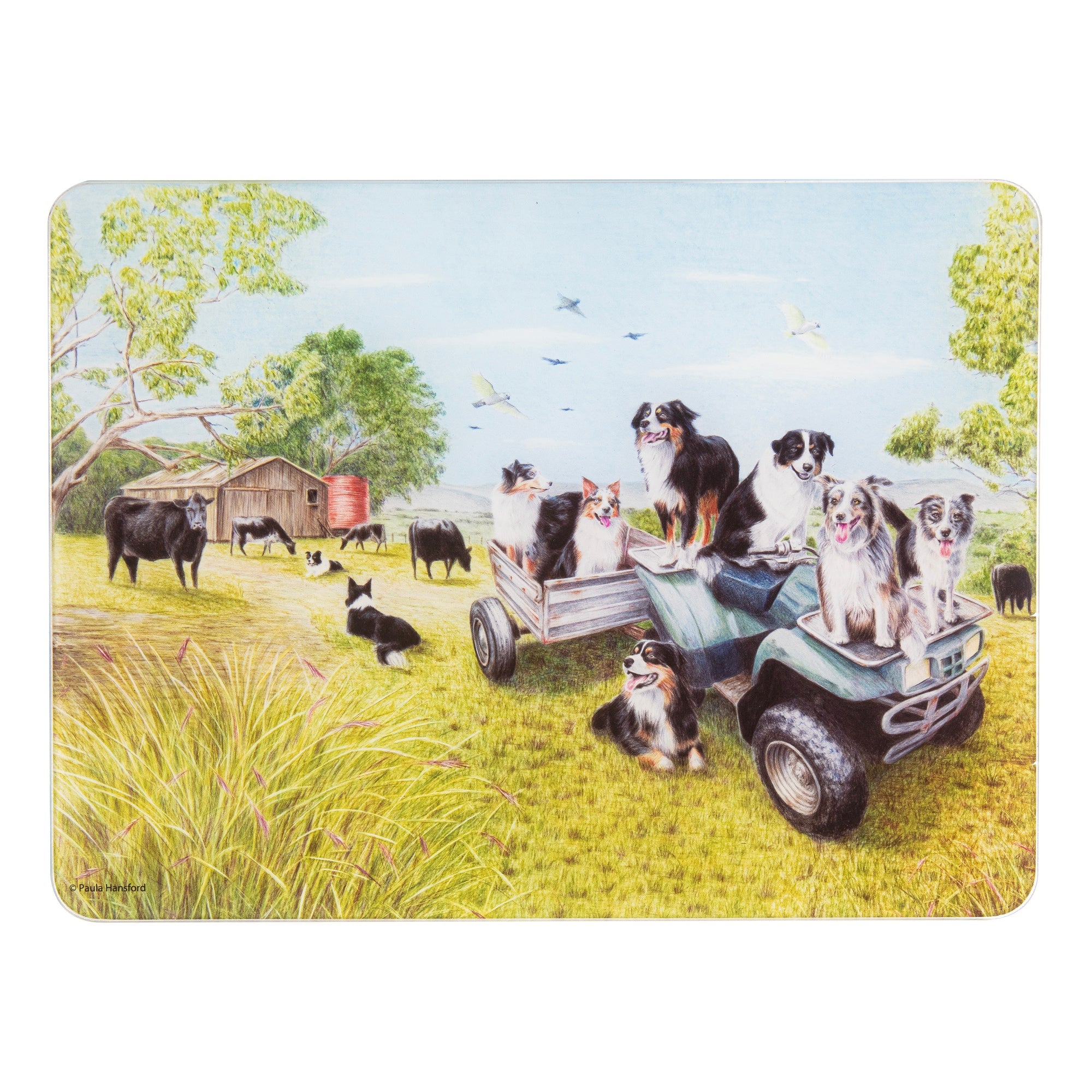 Ashdene Working Dogs Quad Bike Surface Protector
