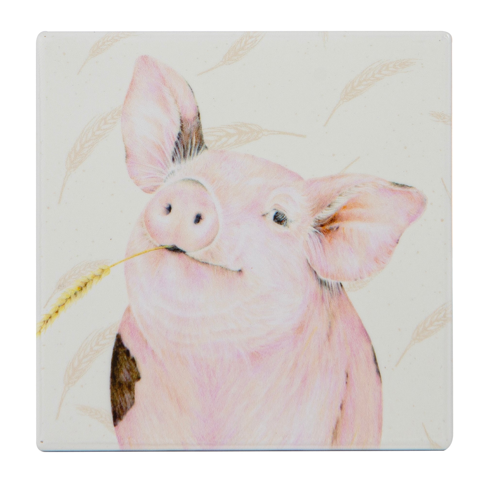 Ashdene Farmyard Faces Pig Ceramic Coaster