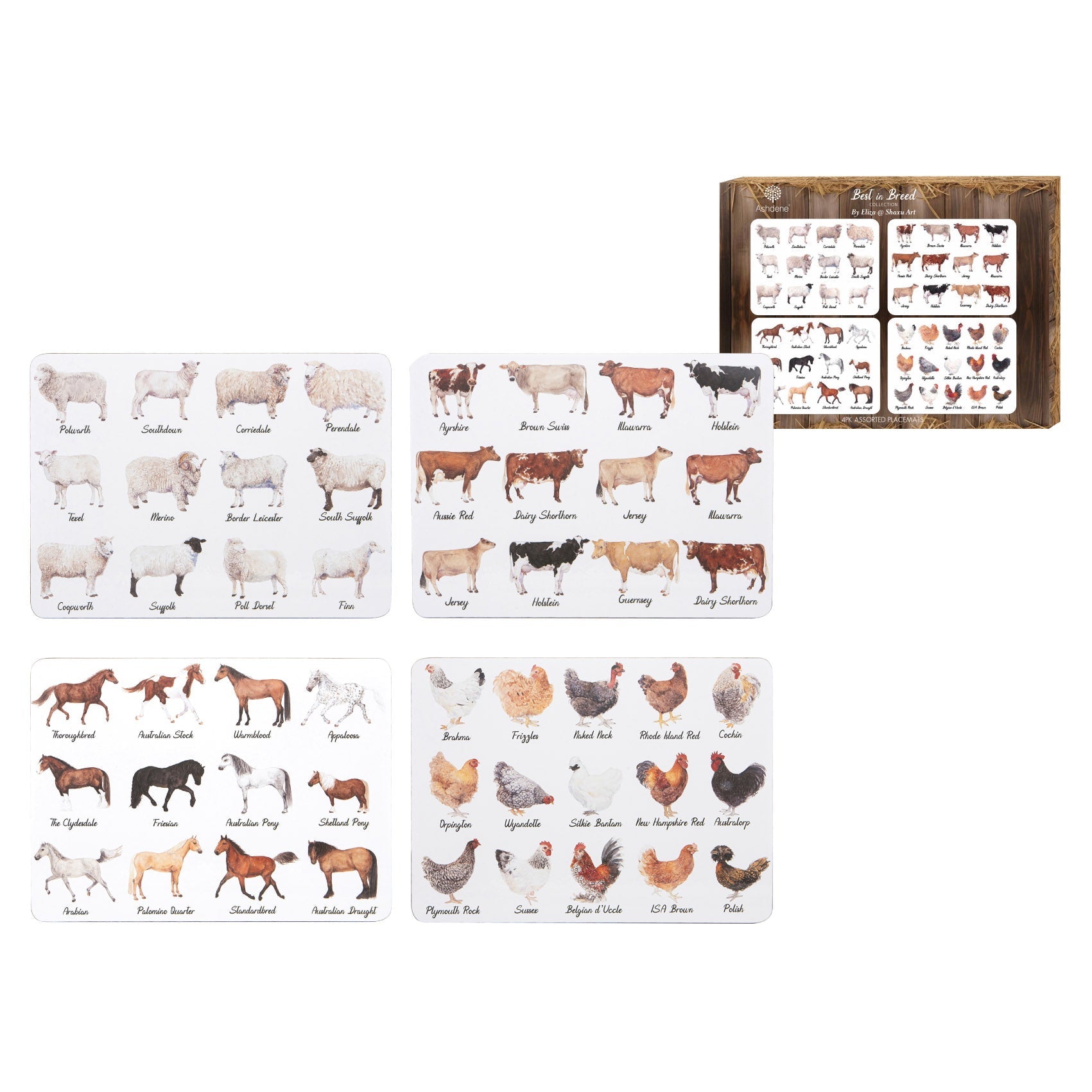 Ashdene Best In Breed 4pk Assorted Placemat