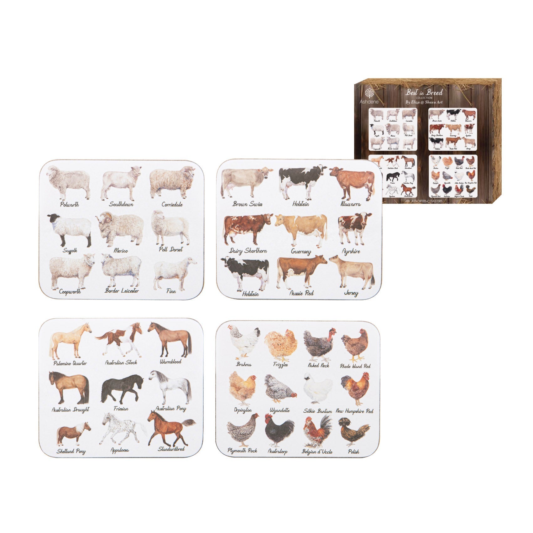 Ashdene Best In Breed 4pk Assorted Coaster