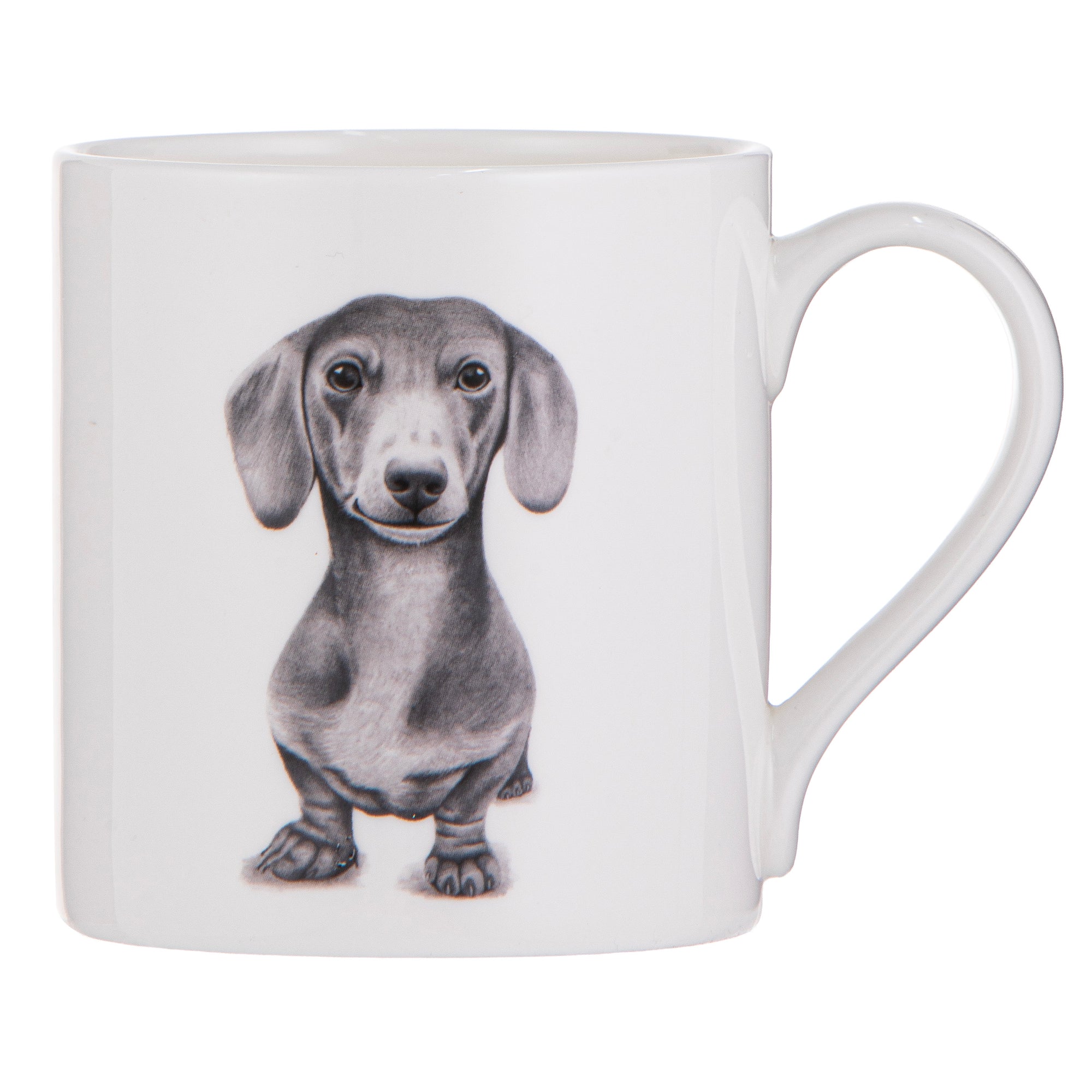 Ashdene Peeking Pups Dachshund Mug