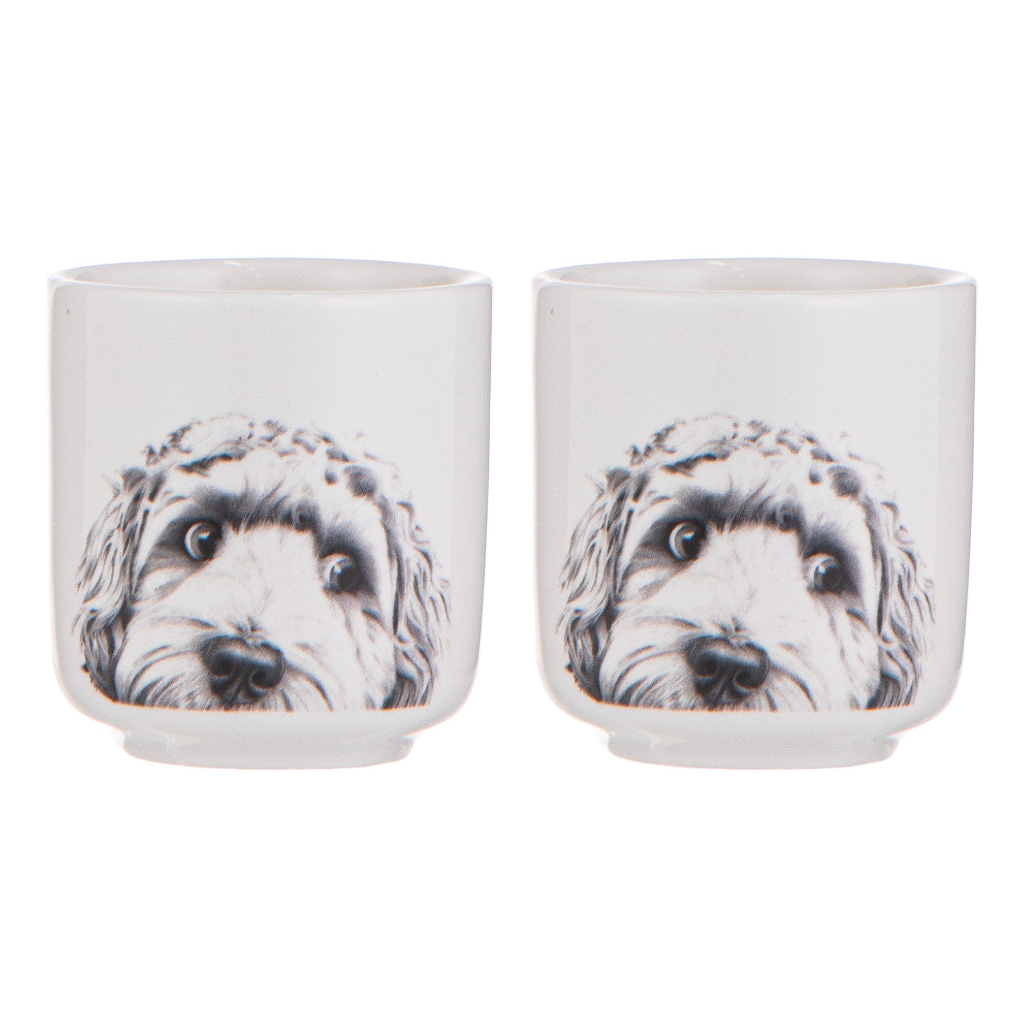 Ashdene Peeking Pups Oodle 2pk Egg Cup