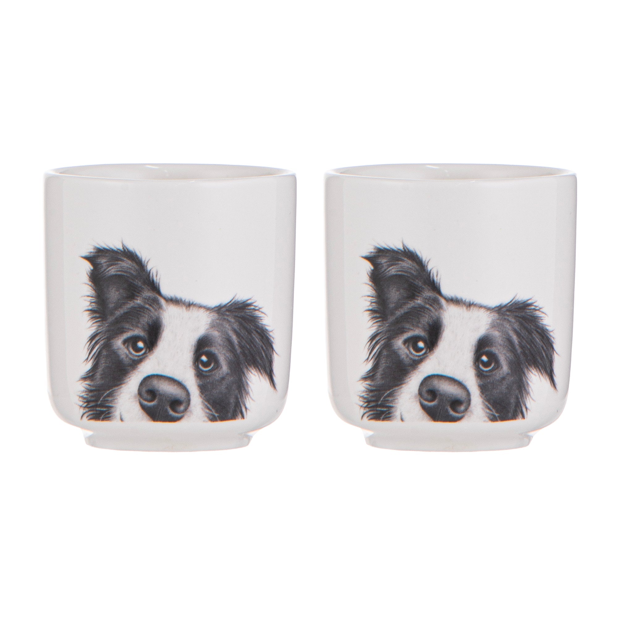 Ashdene Peeking Pups Border Collie 2pk Egg Cup