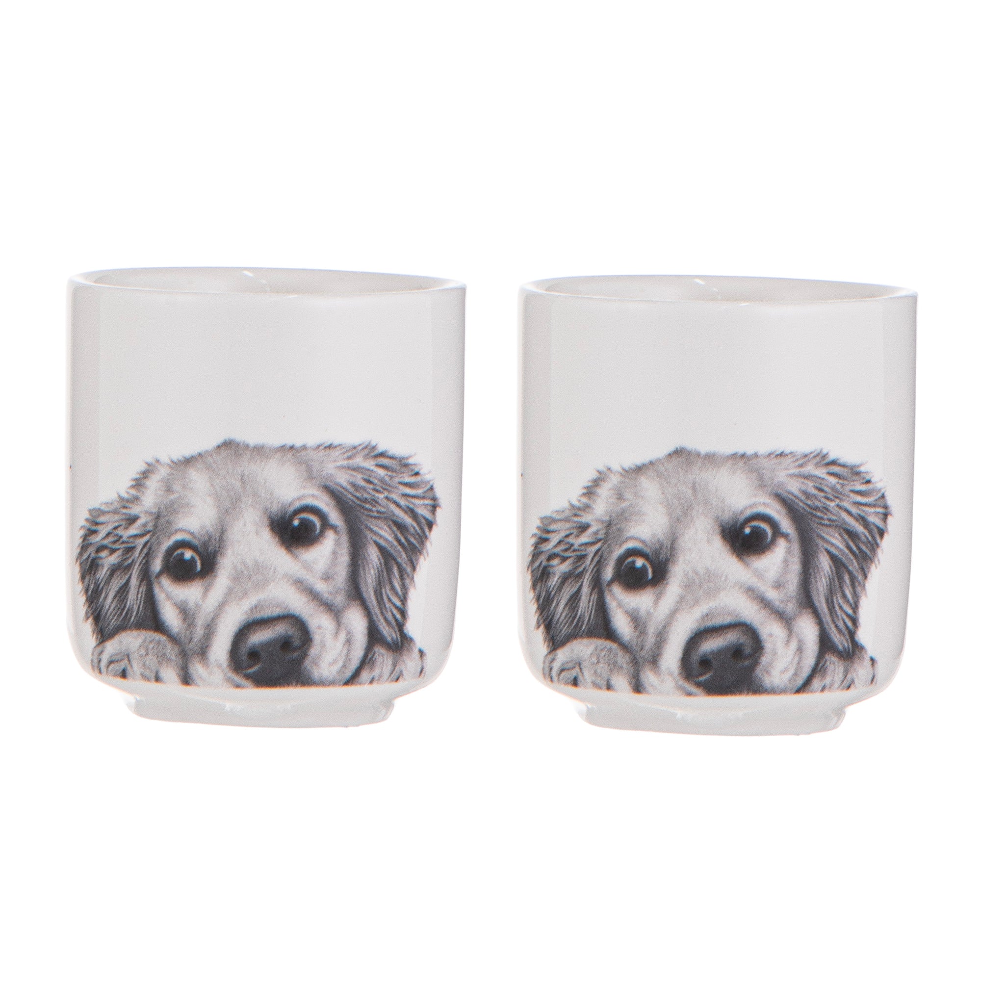 Ashdene Peeking Pups Golden Retriever 2pk Egg Cup
