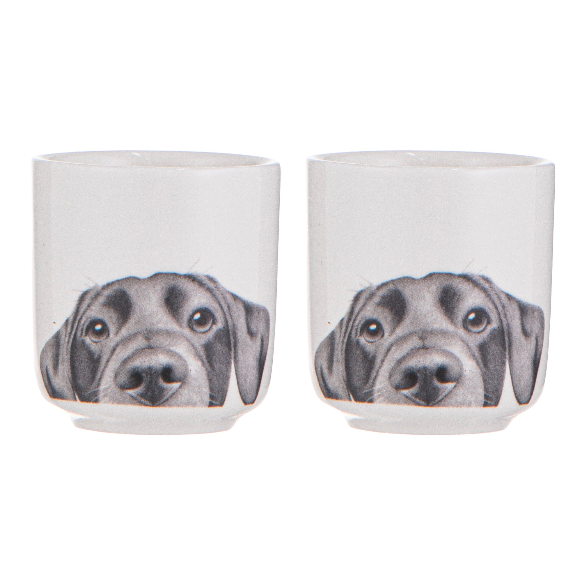 Ashdene Peeking Pups Labrador 2pk Egg Cup