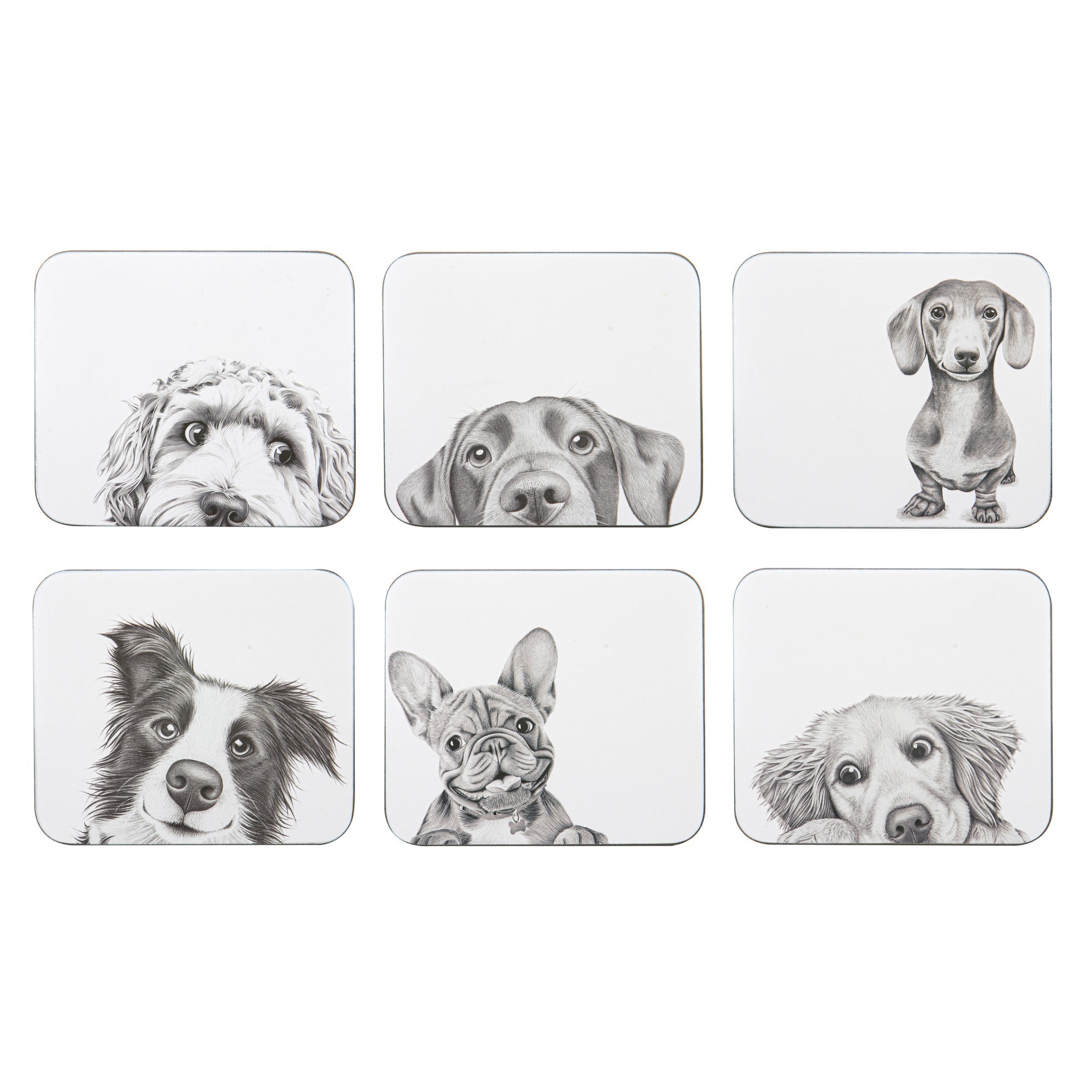 Ashdene Peeking Pups 6pk Coaster